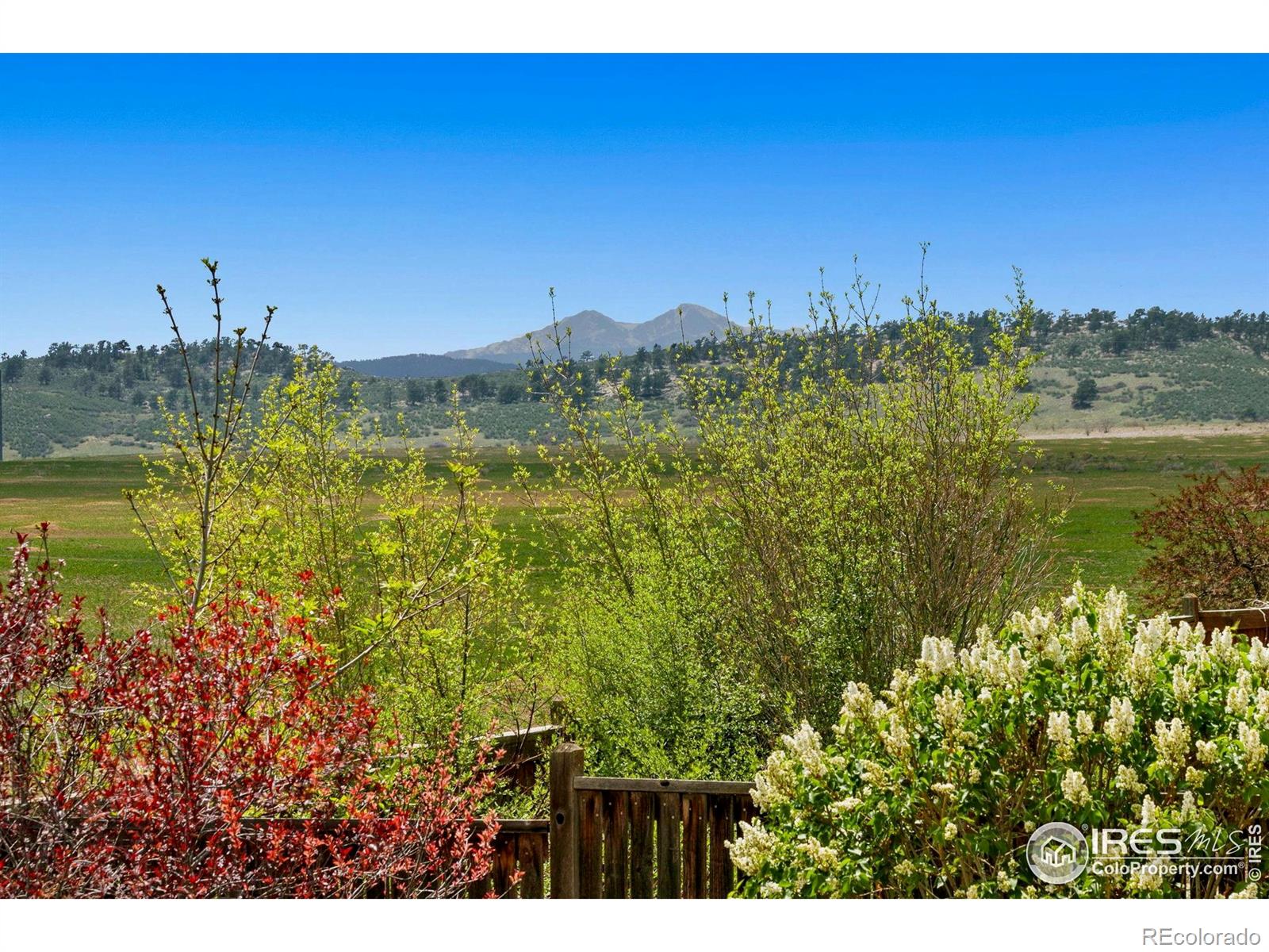 MLS Image #29 for 3232  williamsburg street,loveland, Colorado