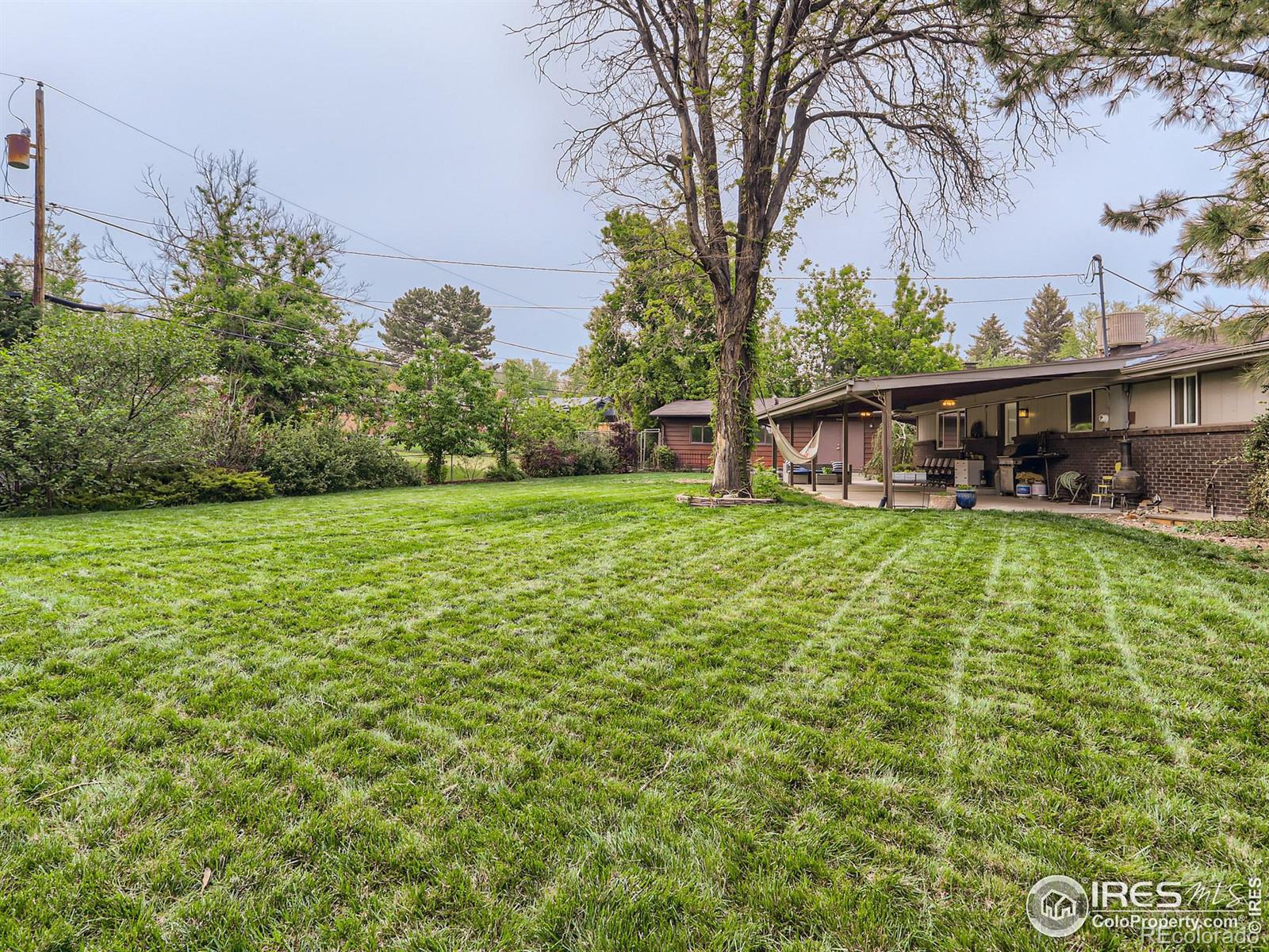 MLS Image #24 for 6861  saulsbury street,arvada, Colorado