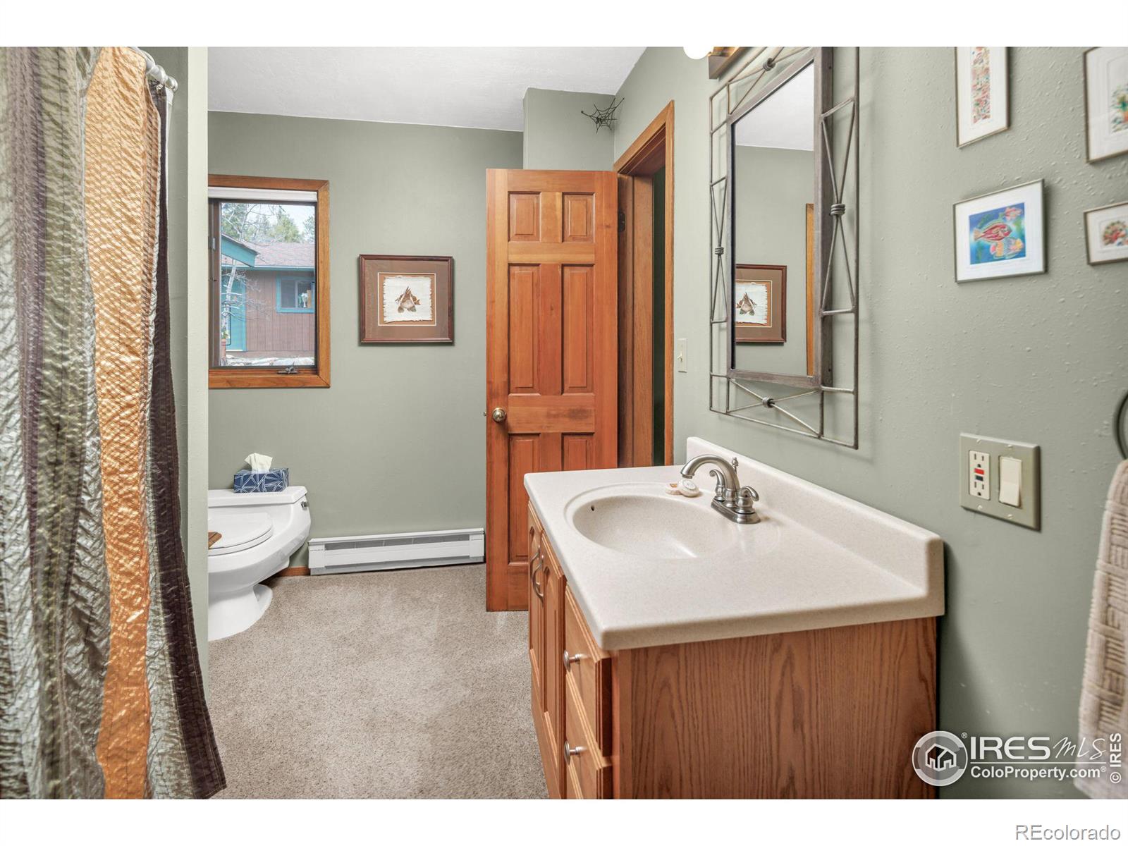 MLS Image #16 for 2816  ridge road,nederland, Colorado