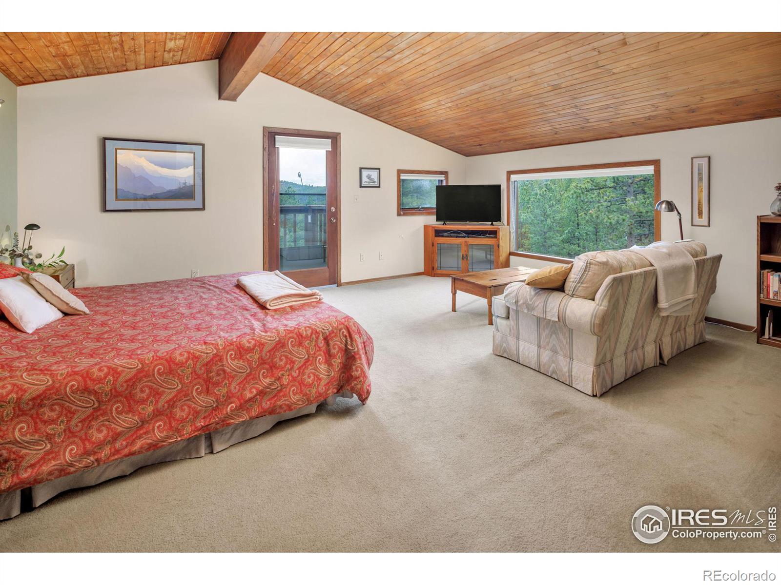 MLS Image #19 for 2816  ridge road,nederland, Colorado