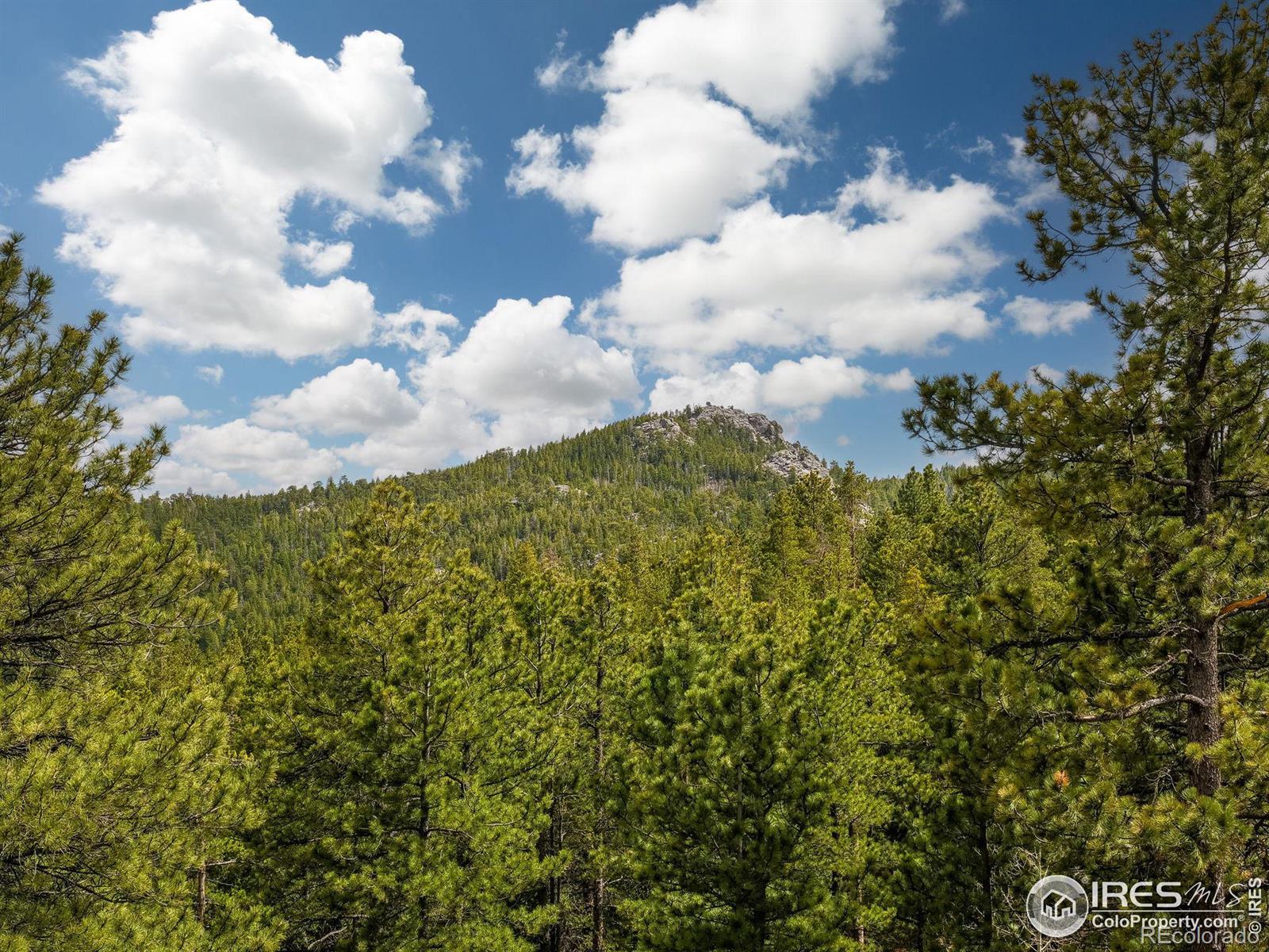 MLS Image #35 for 2816  ridge road,nederland, Colorado