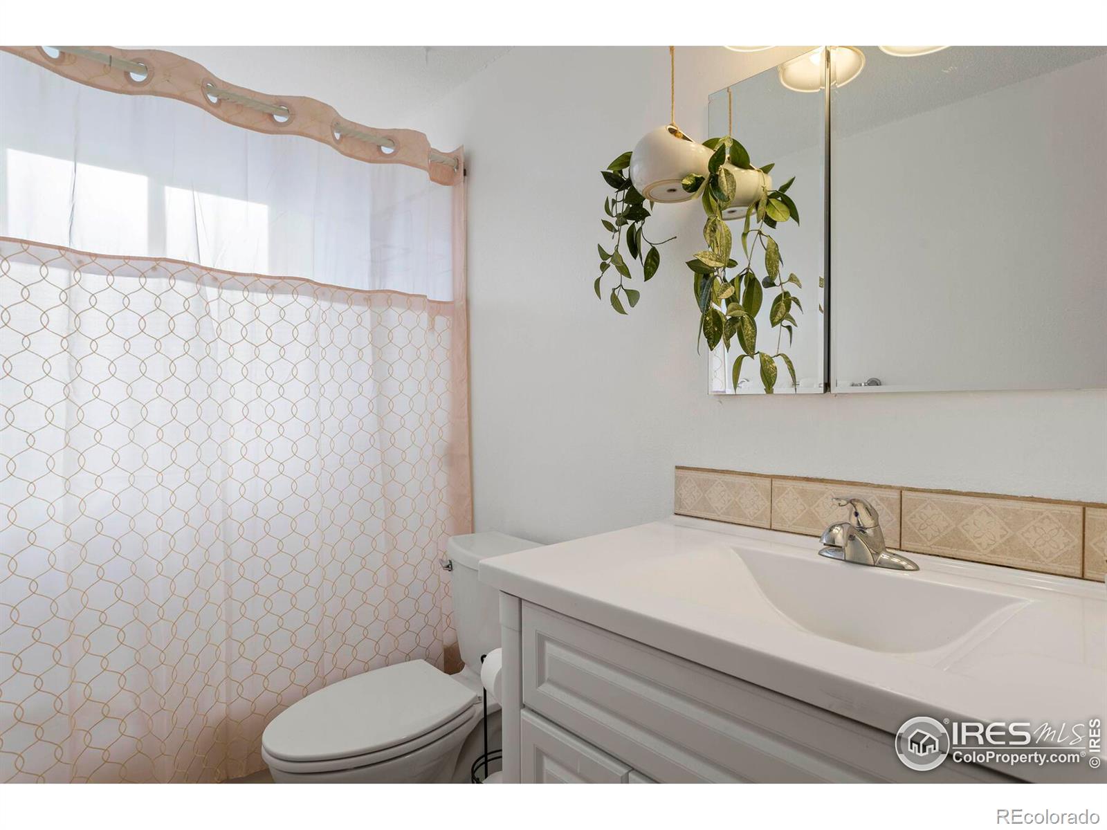 MLS Image #21 for 13651  elmore road,longmont, Colorado