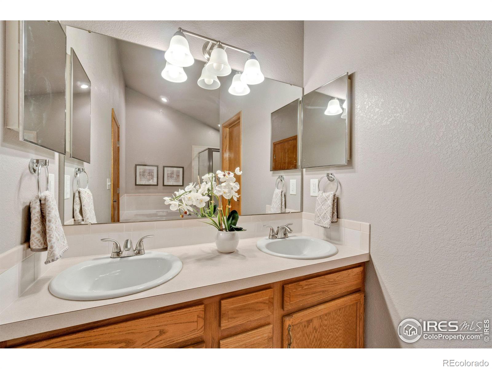 MLS Image #24 for 1951  silvergate road,fort collins, Colorado