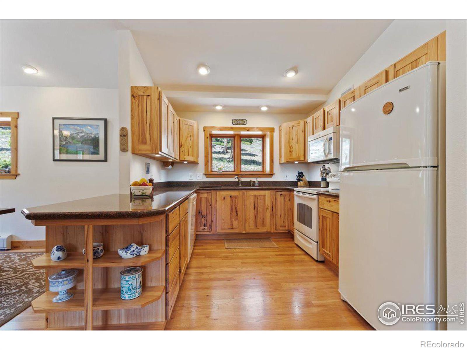 MLS Image #10 for 790 s skinner road,allenspark, Colorado