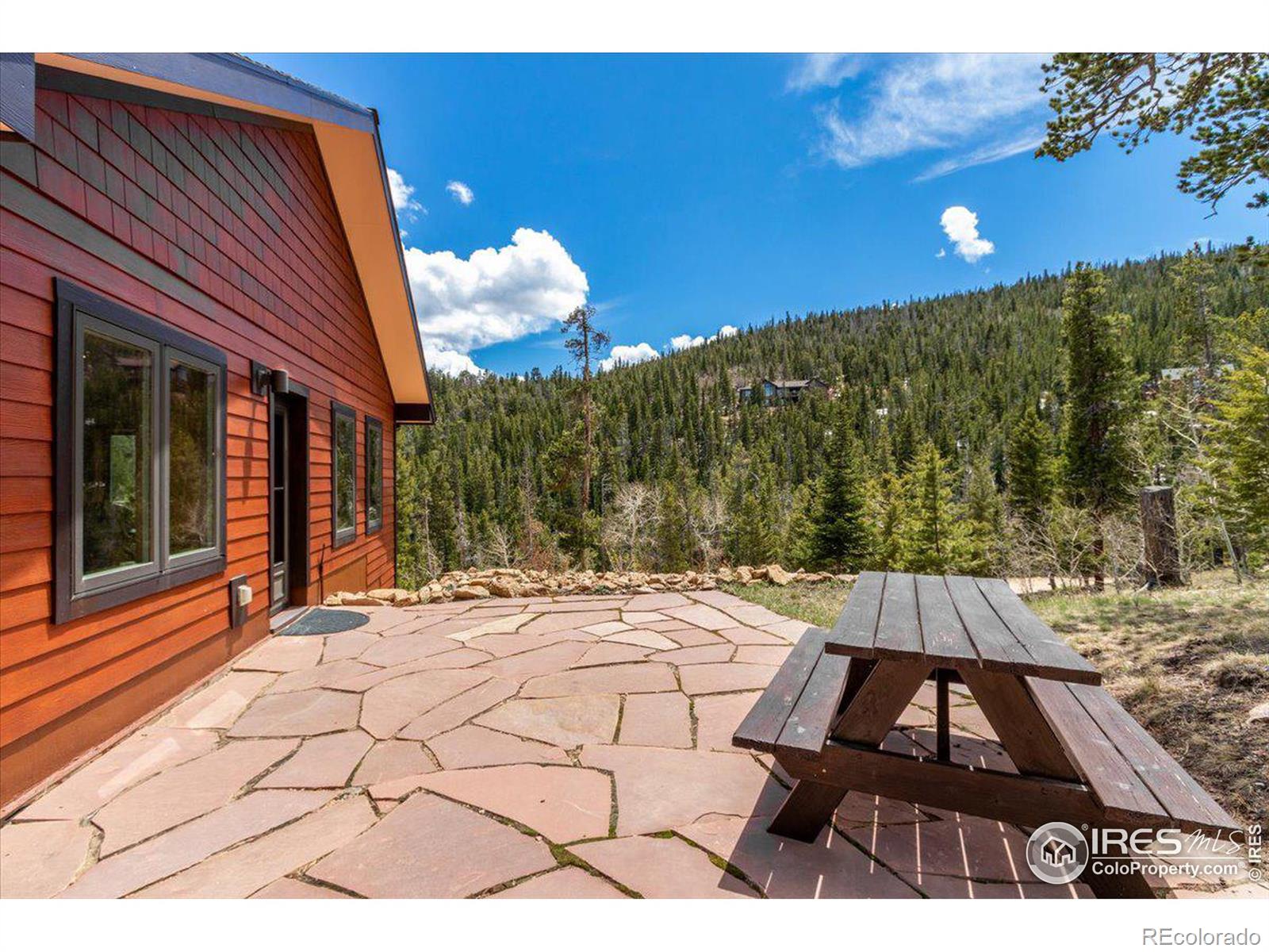 MLS Image #13 for 790 s skinner road,allenspark, Colorado