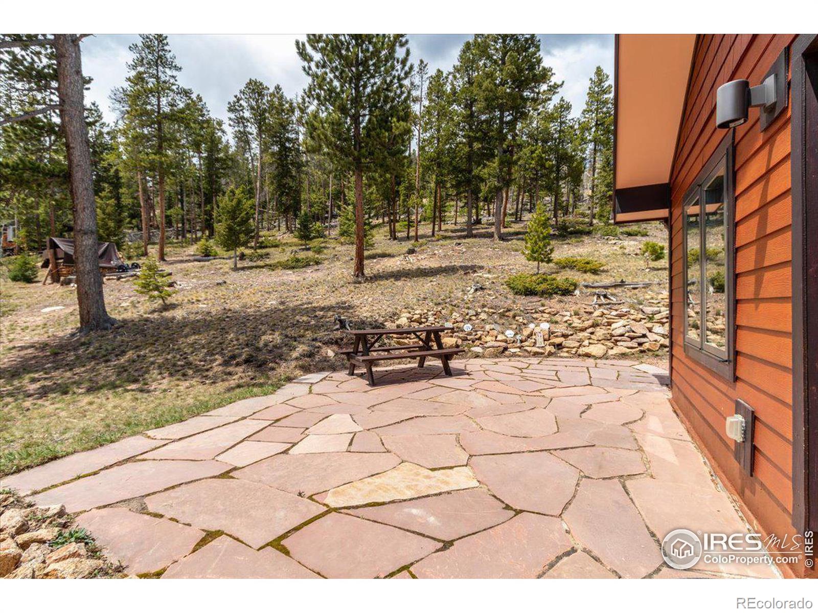 MLS Image #14 for 790 s skinner road,allenspark, Colorado