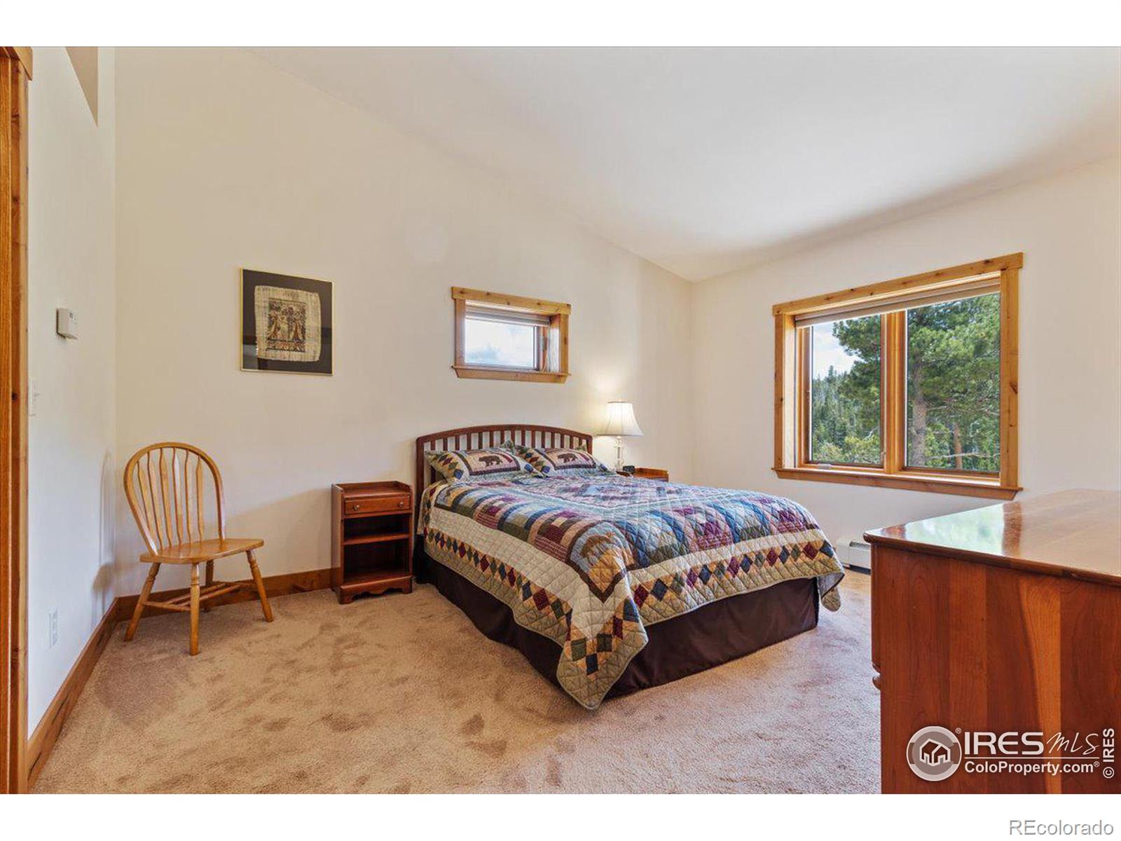 MLS Image #18 for 790 s skinner road,allenspark, Colorado