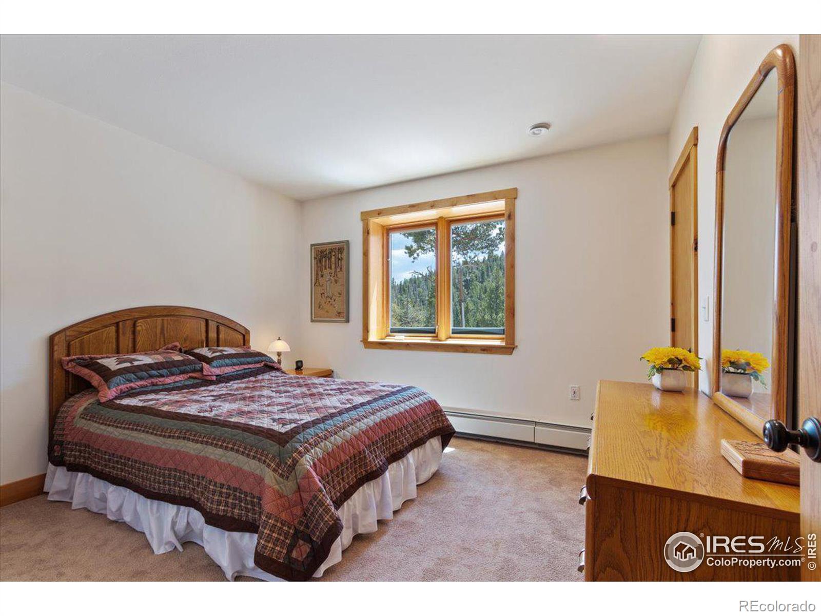 MLS Image #25 for 790 s skinner road,allenspark, Colorado