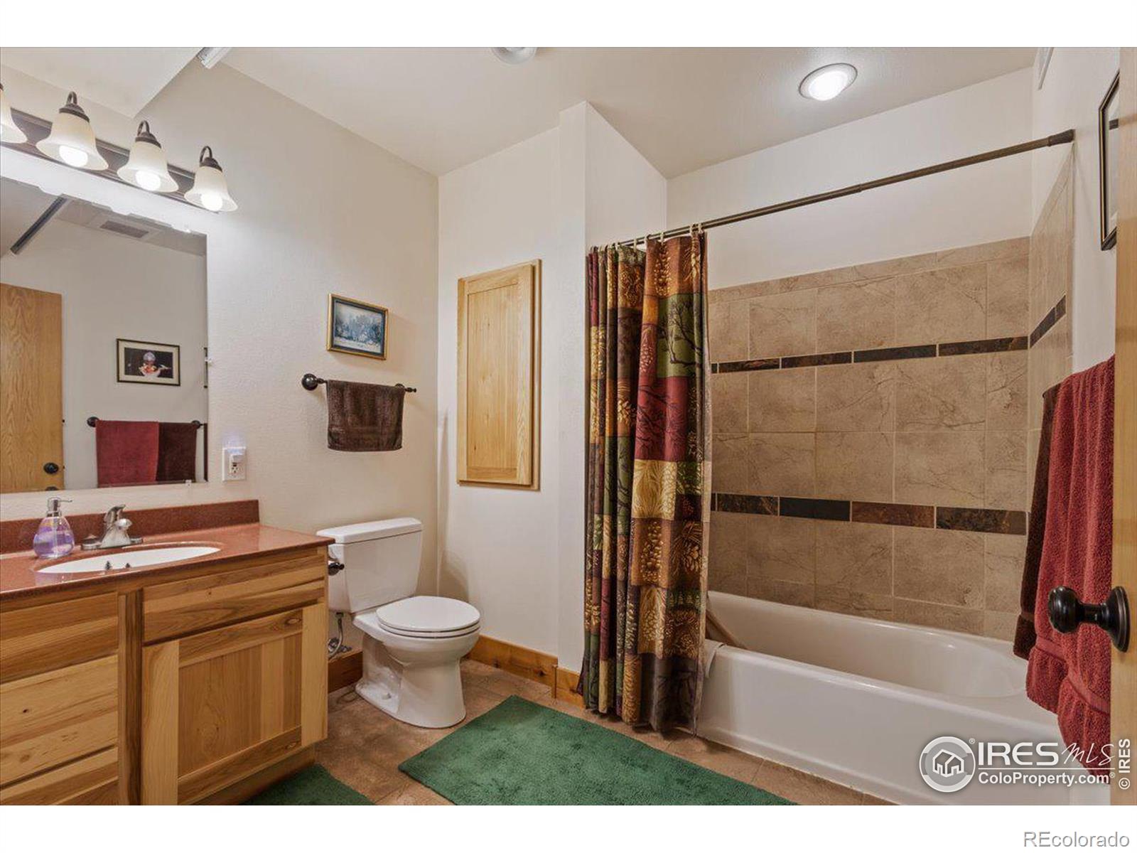 MLS Image #27 for 790 s skinner road,allenspark, Colorado