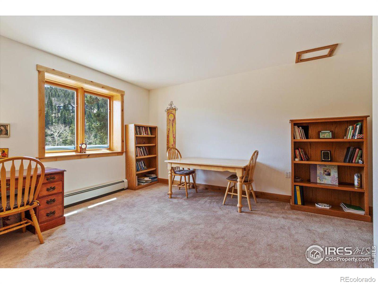 MLS Image #28 for 790 s skinner road,allenspark, Colorado