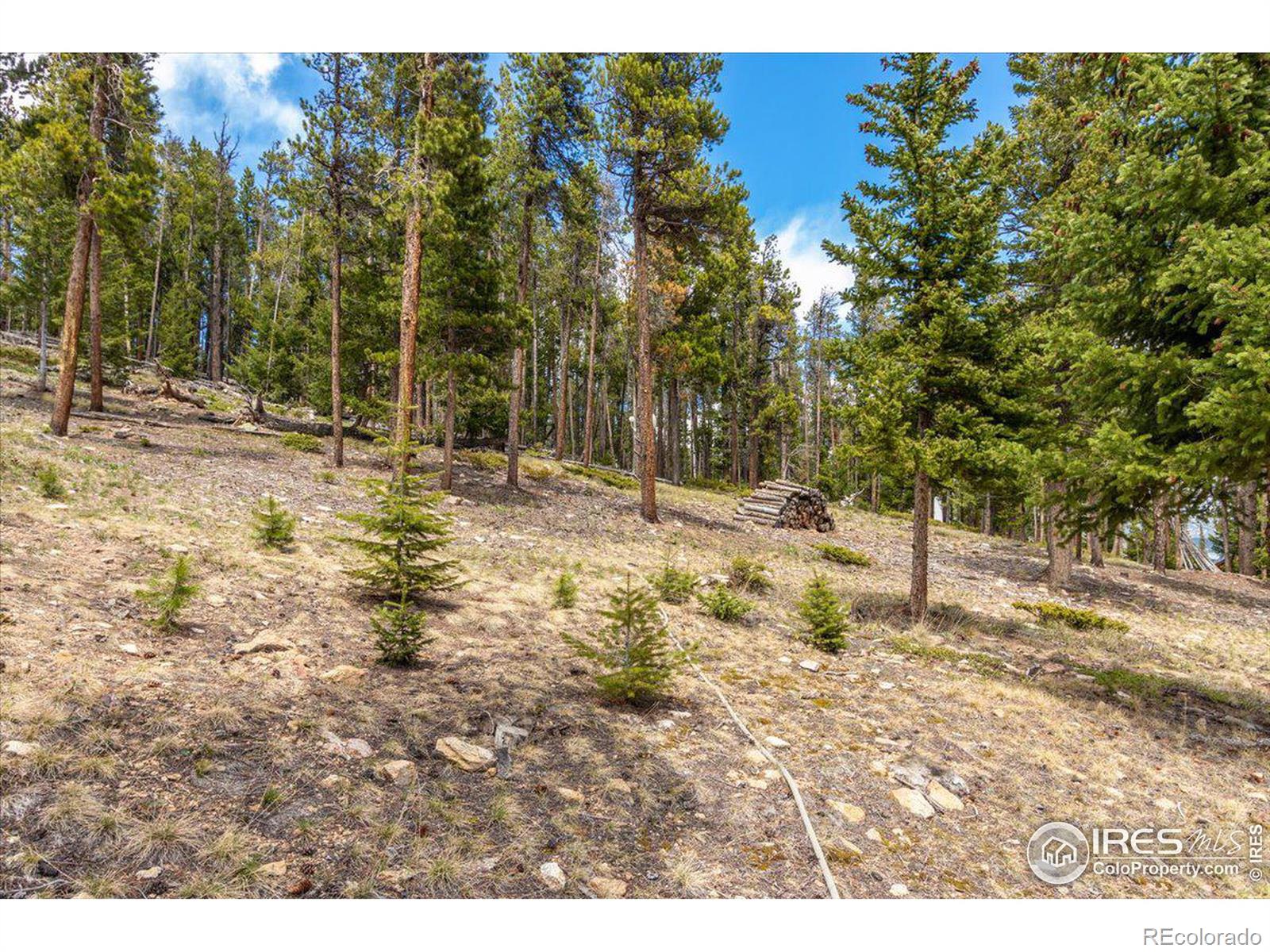 MLS Image #36 for 790 s skinner road,allenspark, Colorado