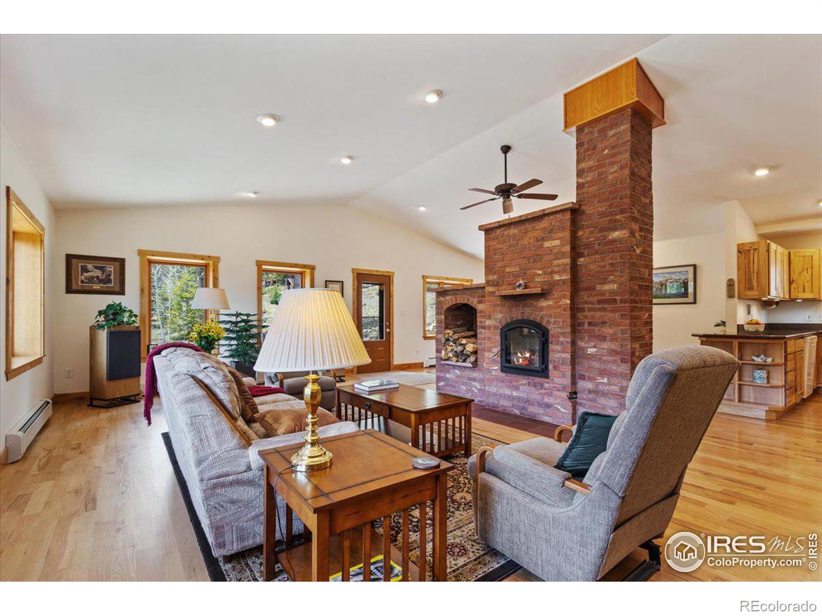 MLS Image #4 for 790 s skinner road,allenspark, Colorado