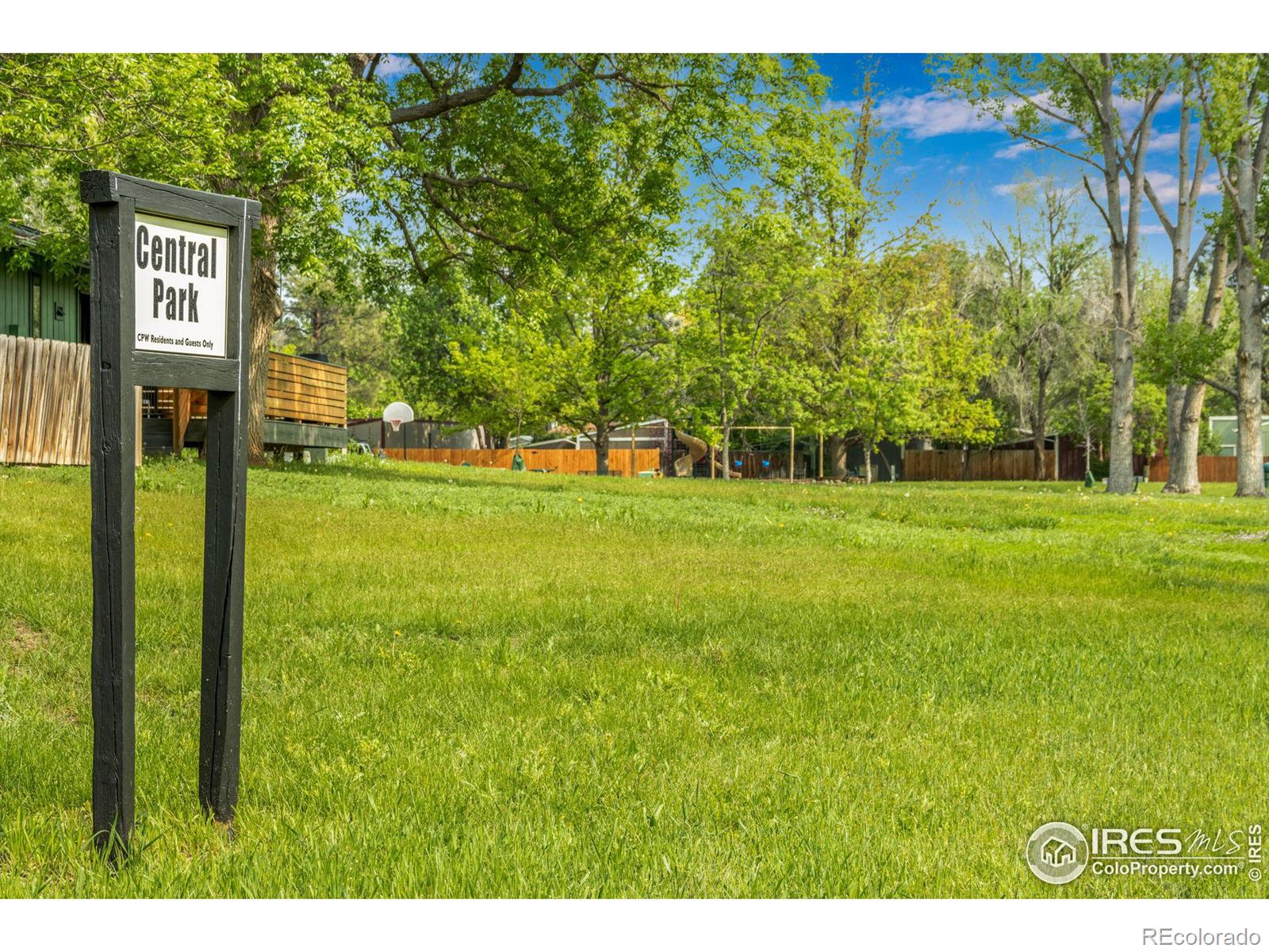 MLS Image #26 for 6802  camelia court,niwot, Colorado