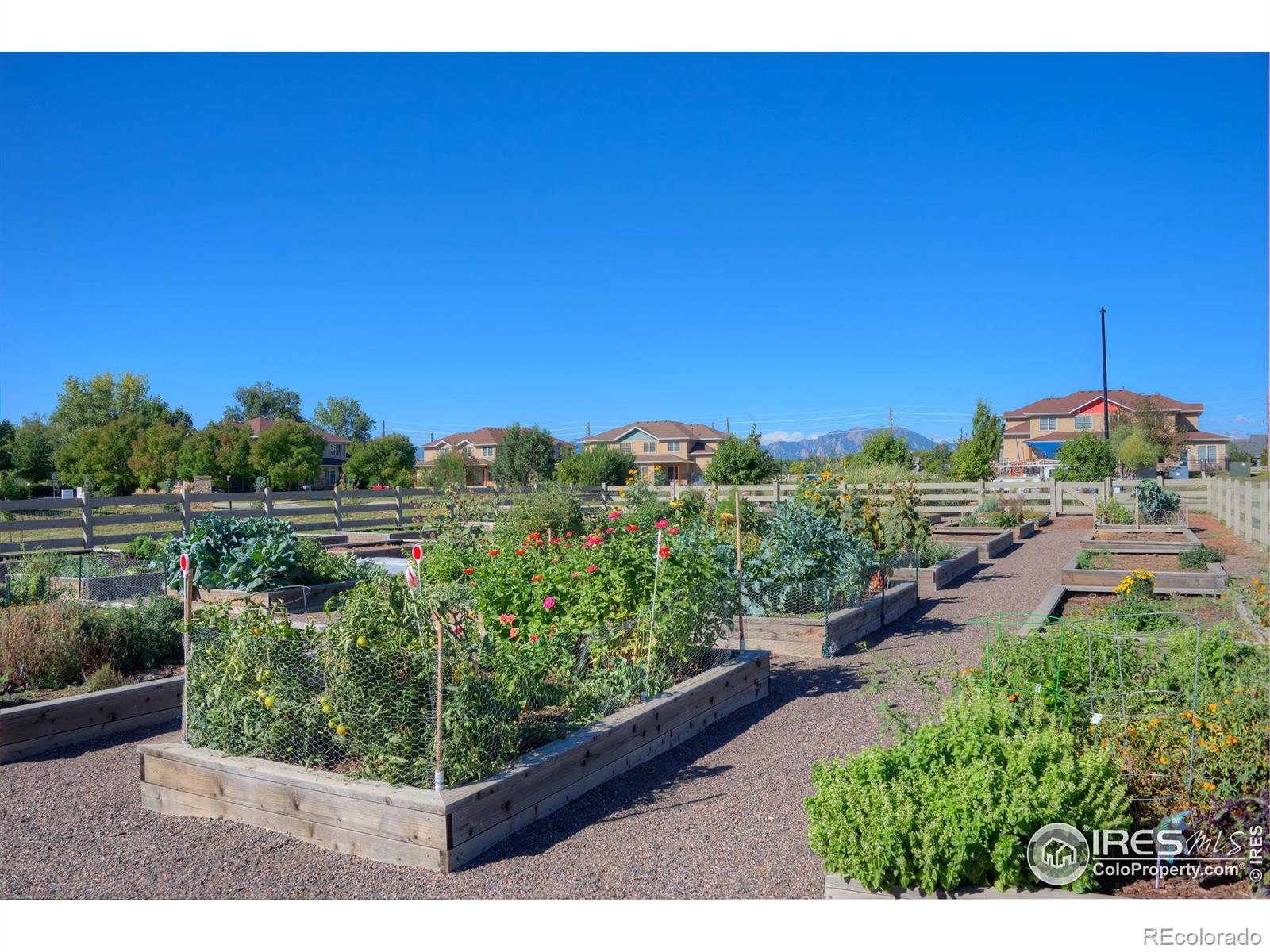 MLS Image #24 for 846  cimarron drive,lafayette, Colorado