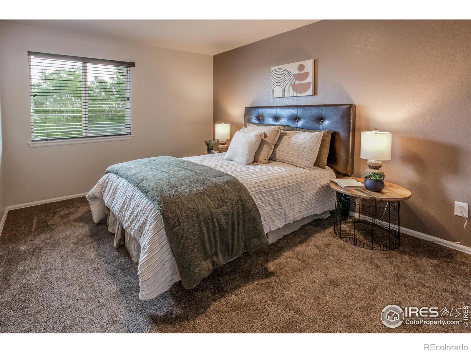 MLS Image #28 for 7308  triangle drive,fort collins, Colorado