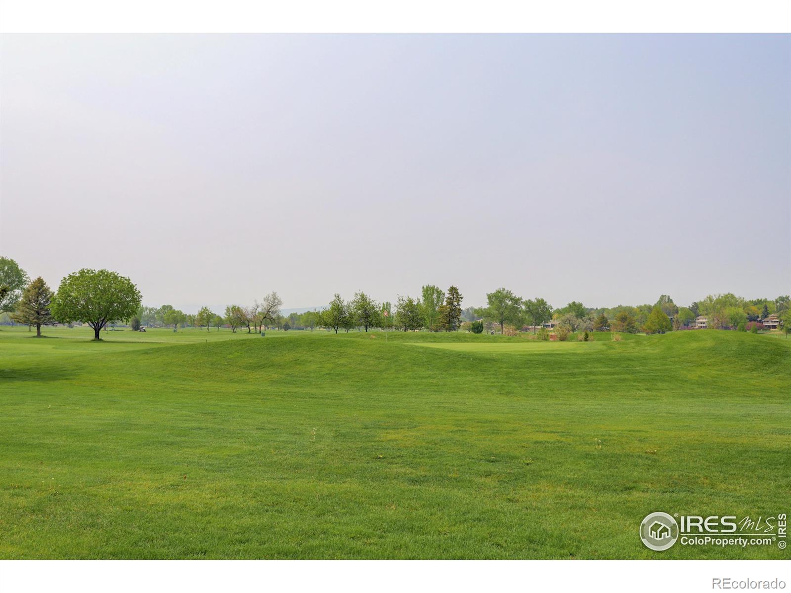 MLS Image #13 for 2928  troxell avenue,longmont, Colorado