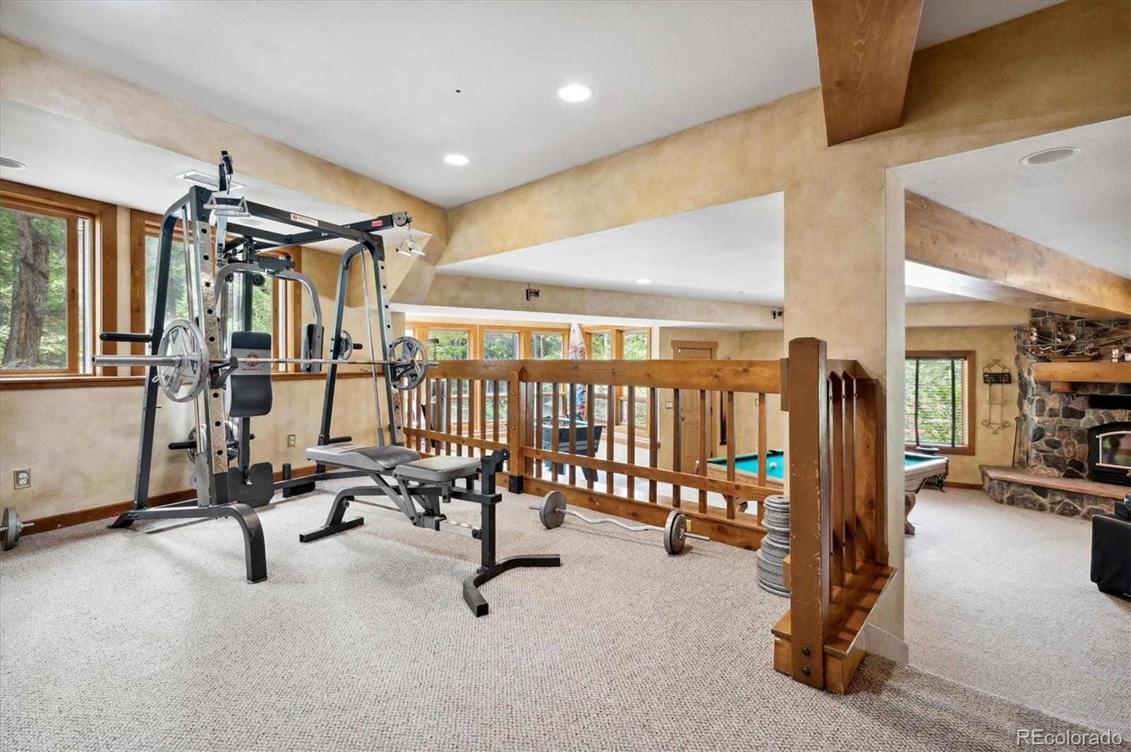 MLS Image #19 for 8720  grizzly way,evergreen, Colorado