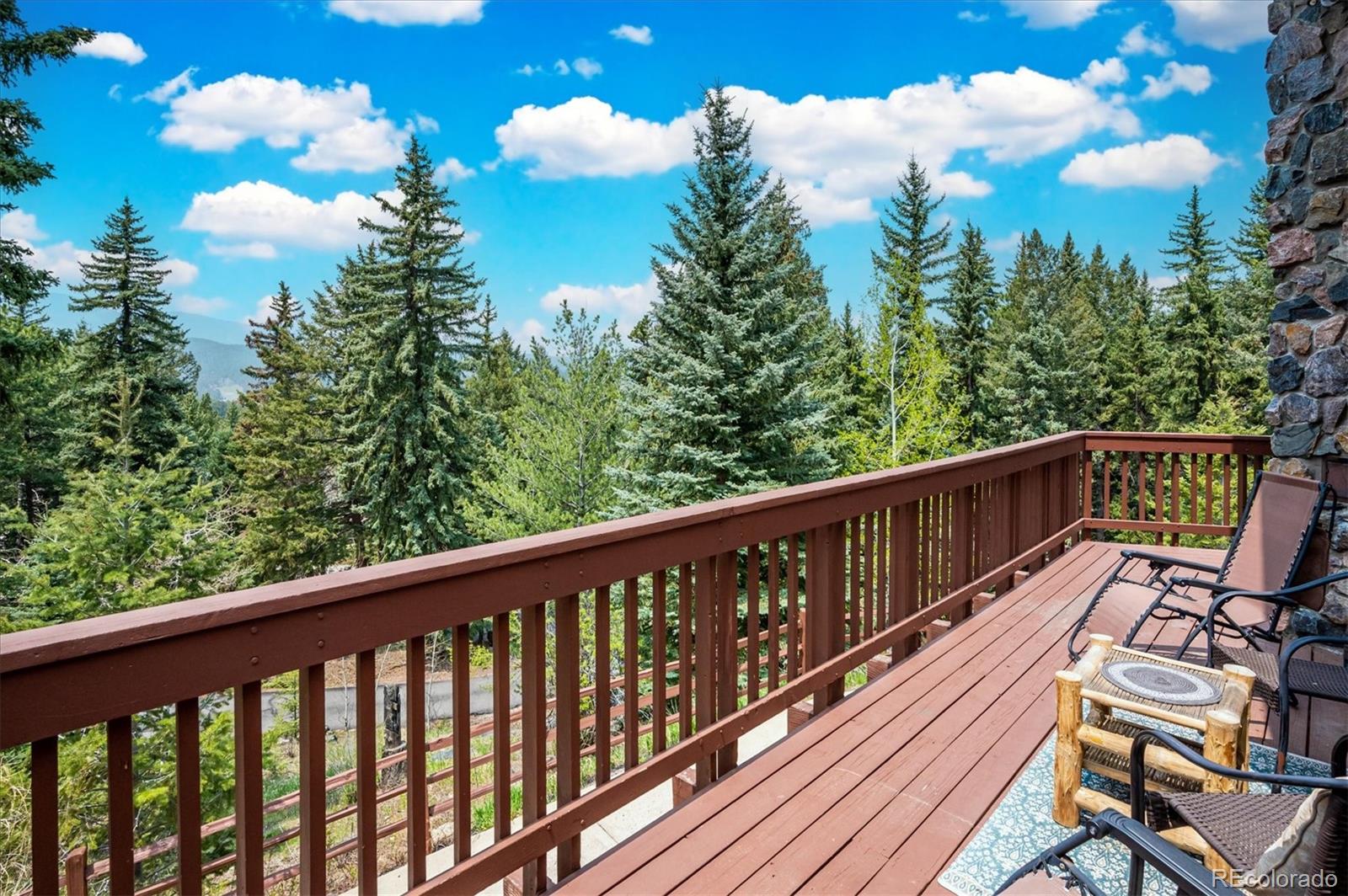 MLS Image #26 for 8720  grizzly way,evergreen, Colorado