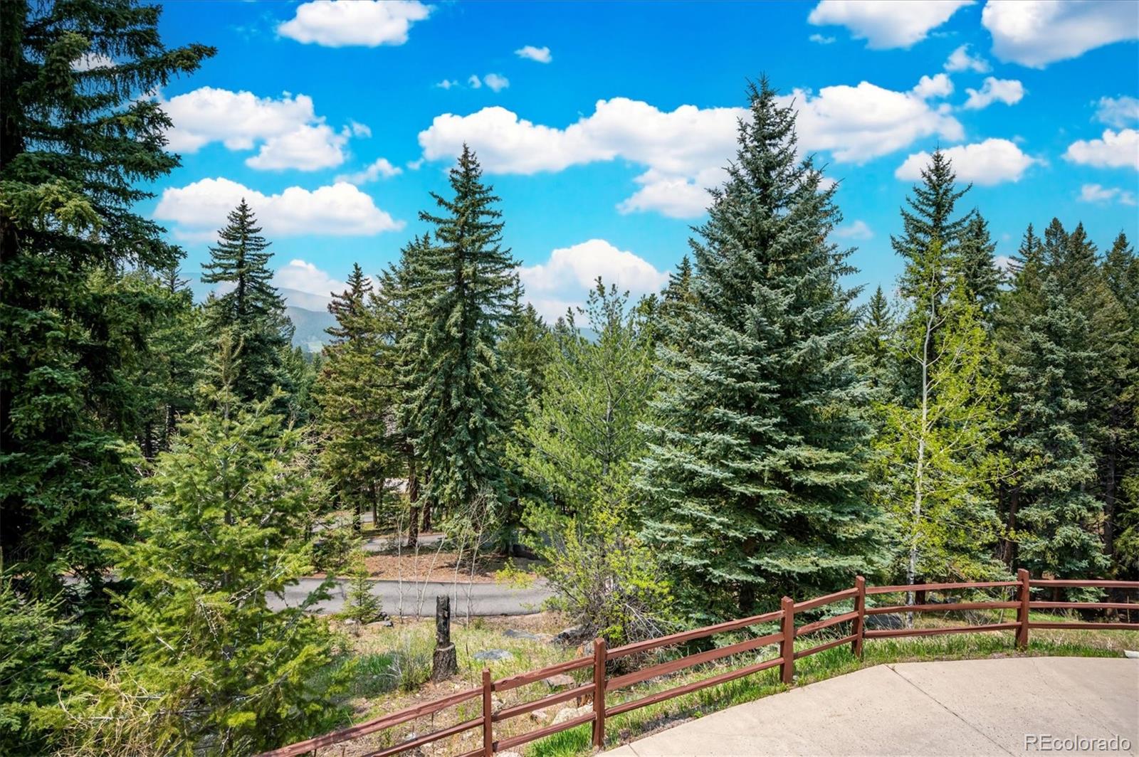MLS Image #27 for 8720  grizzly way,evergreen, Colorado