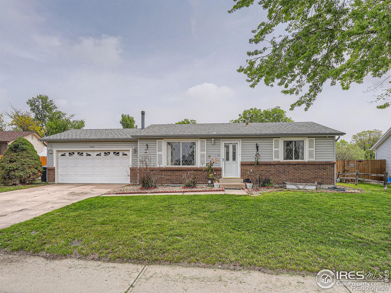 Report Image for 11341  Clermont Drive,Thornton, Colorado
