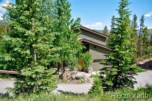 MLS Image #0 for 205  protector place,breckenridge, Colorado