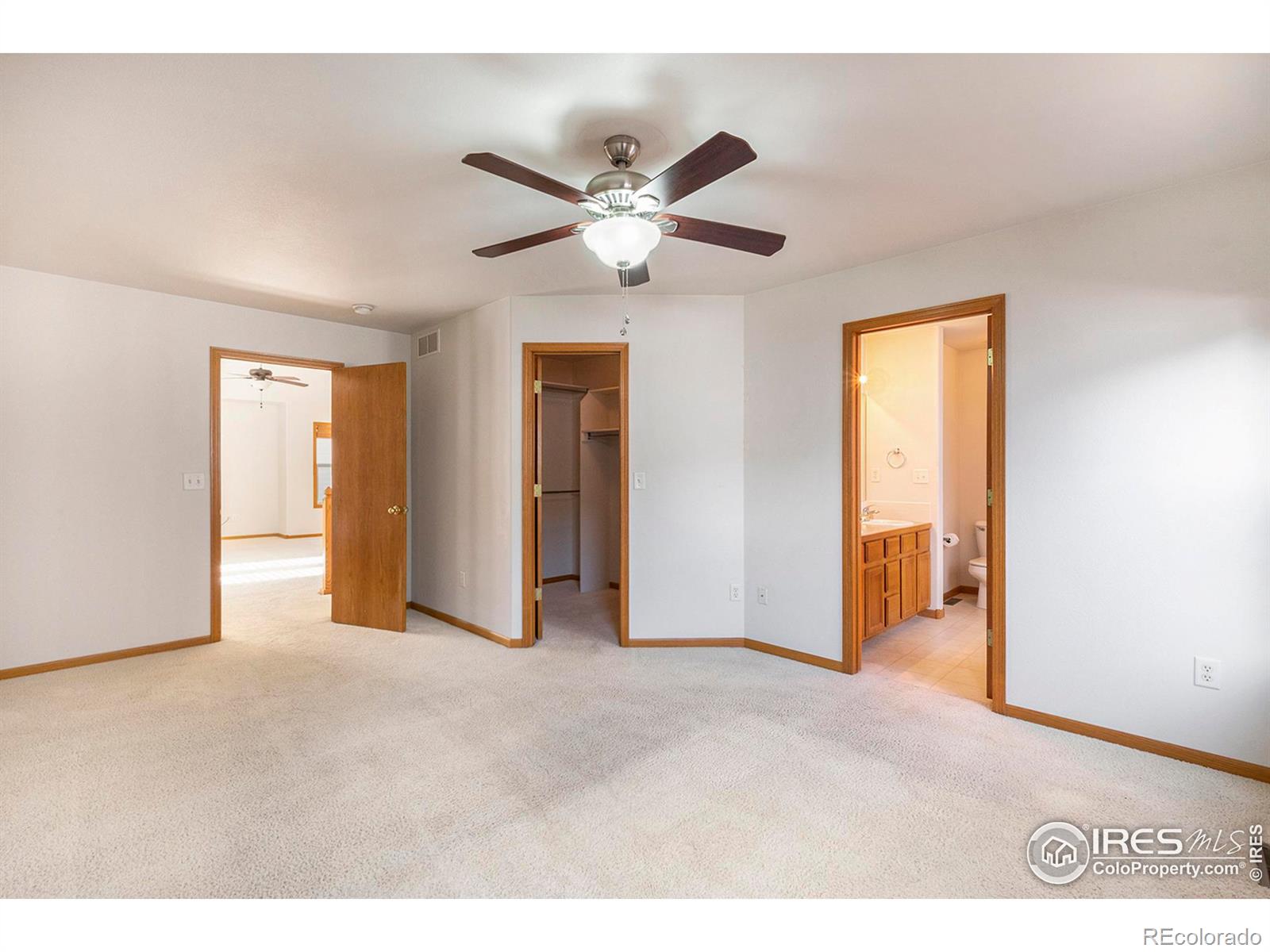 MLS Image #15 for 415  lark bunting avenue,loveland, Colorado