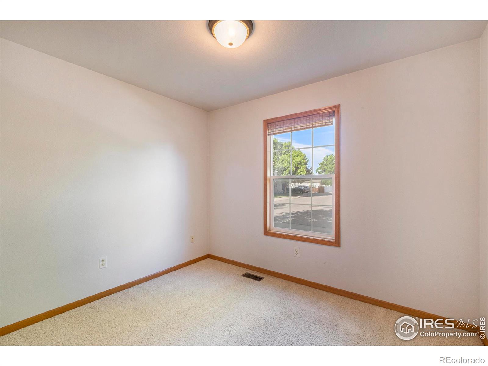 MLS Image #19 for 415  lark bunting avenue,loveland, Colorado