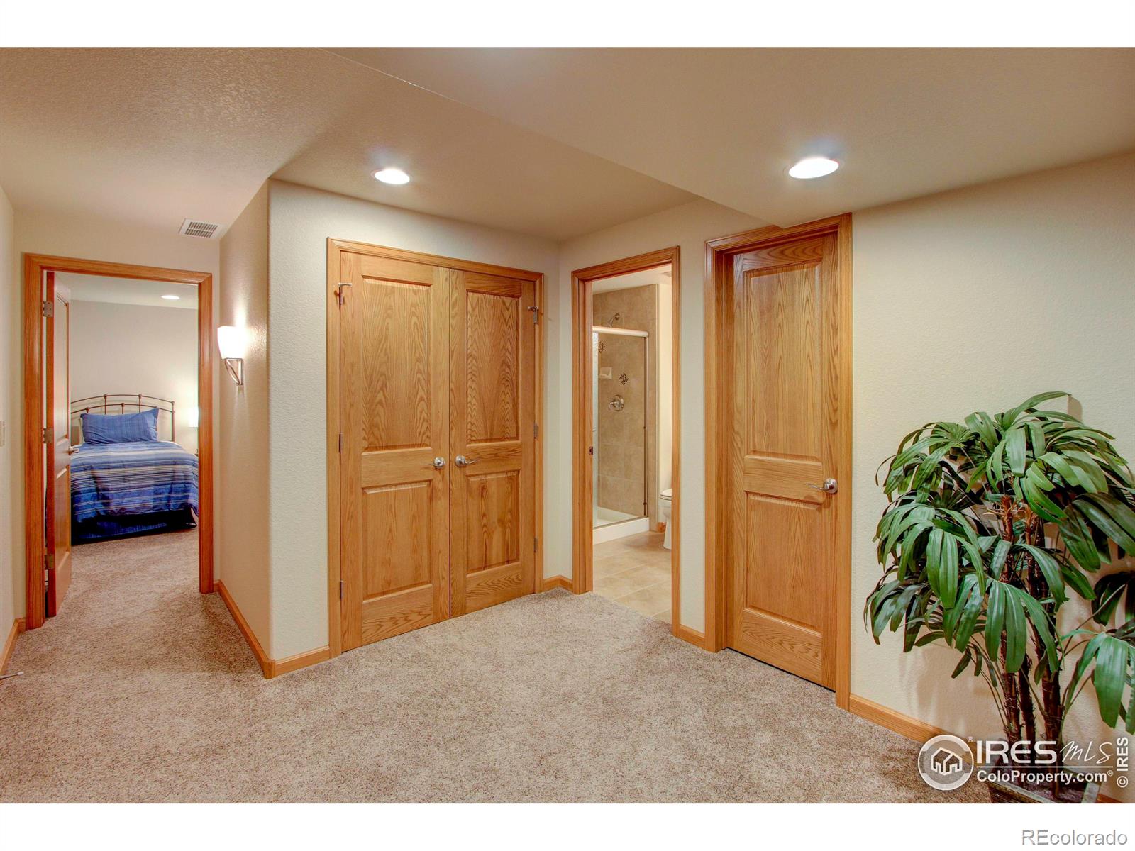 MLS Image #29 for 2005  creede avenue,loveland, Colorado