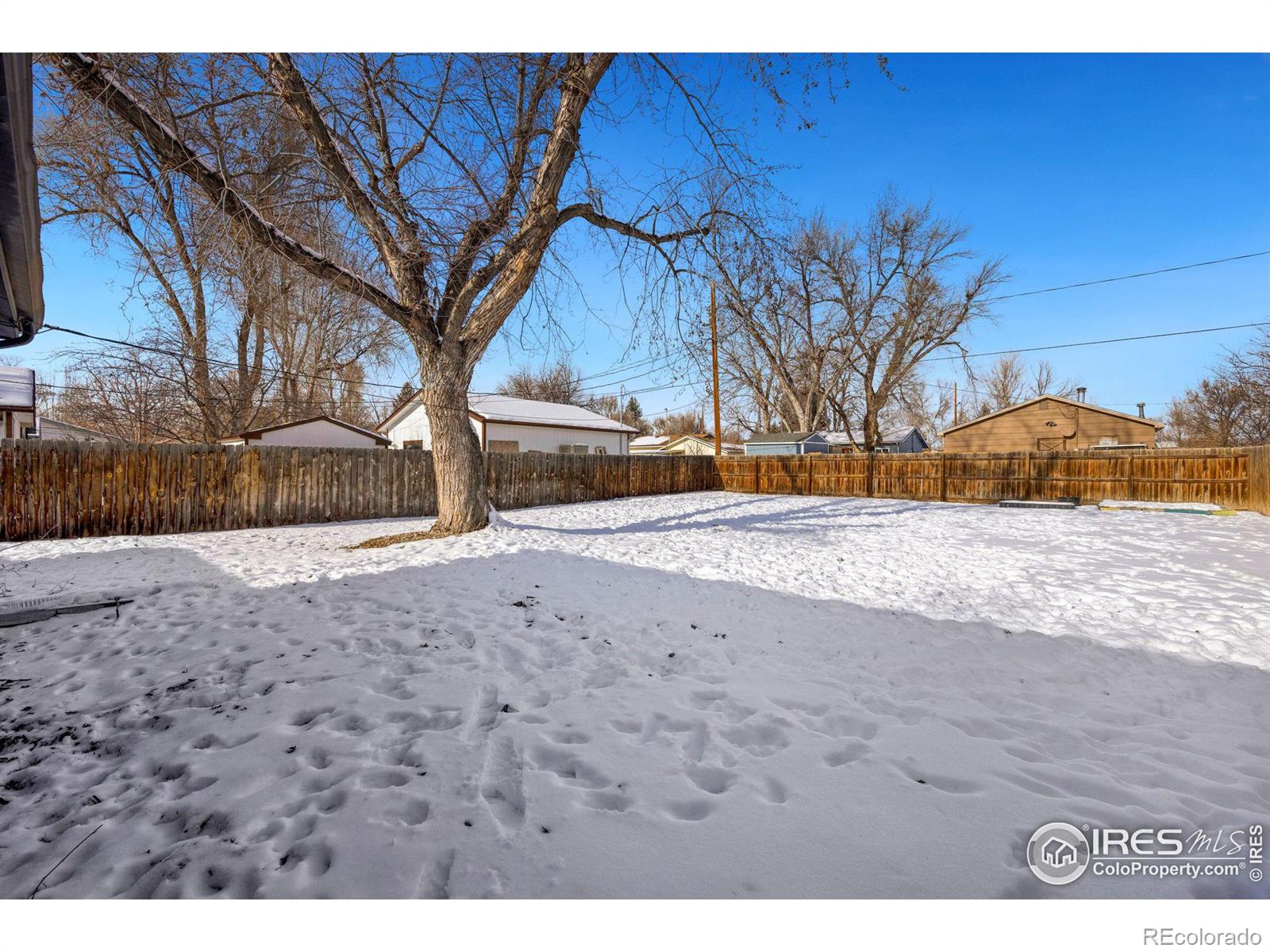 MLS Image #16 for 1489 e 6th street,loveland, Colorado