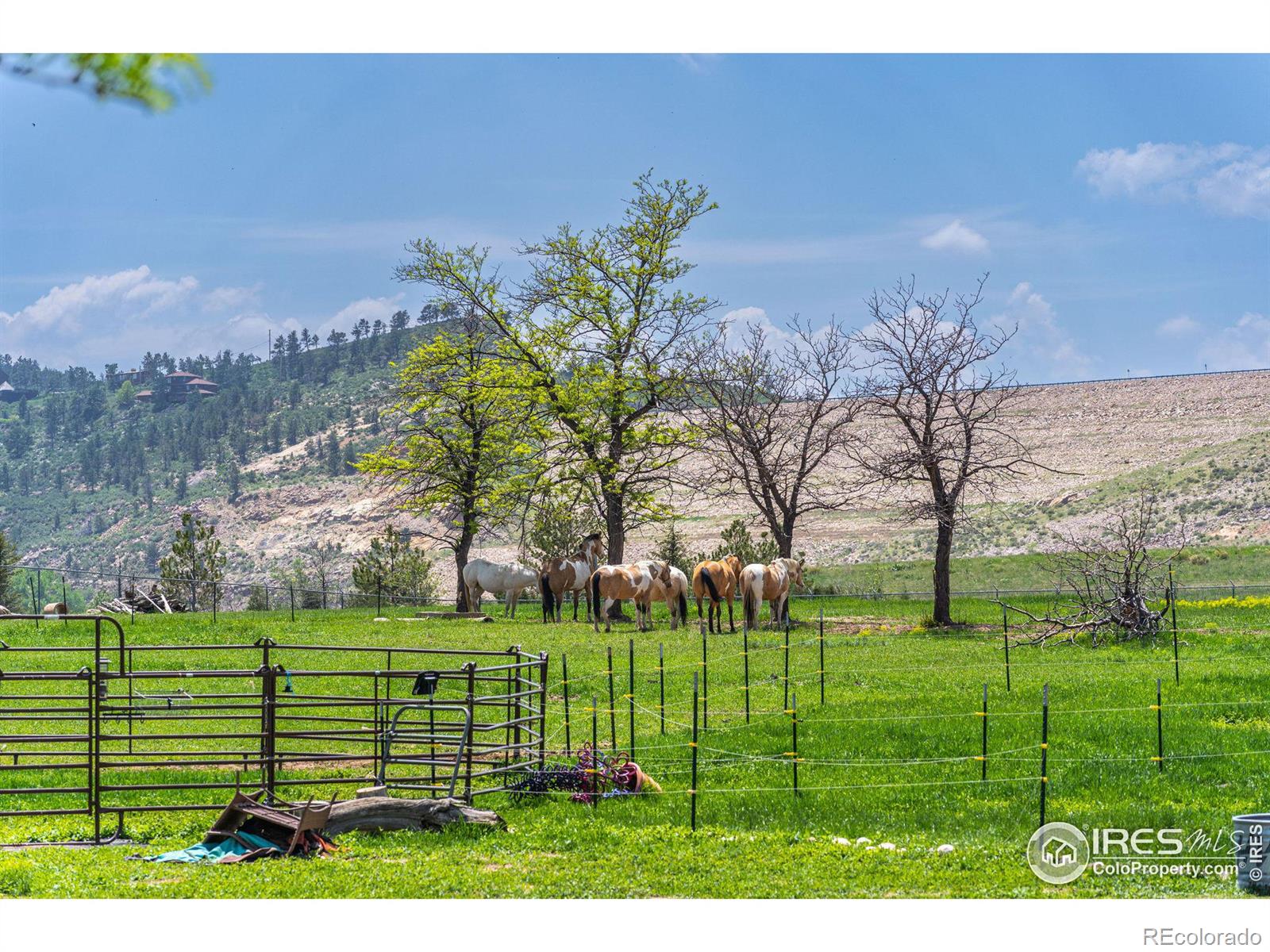 MLS Image #23 for 3200  azalea drive,fort collins, Colorado