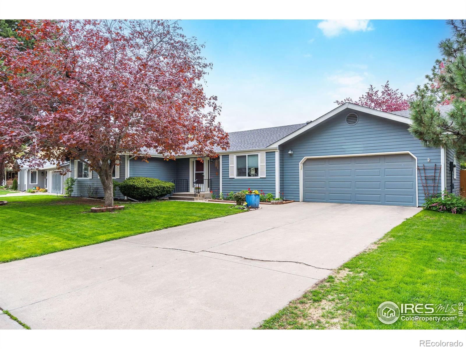 Report Image for 3218  Wedgewood Court,Fort Collins, Colorado