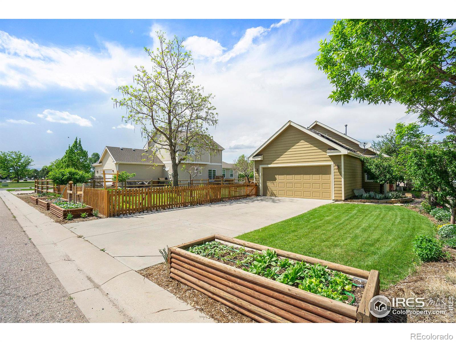 MLS Image #20 for 1409  snipe lane,fort collins, Colorado