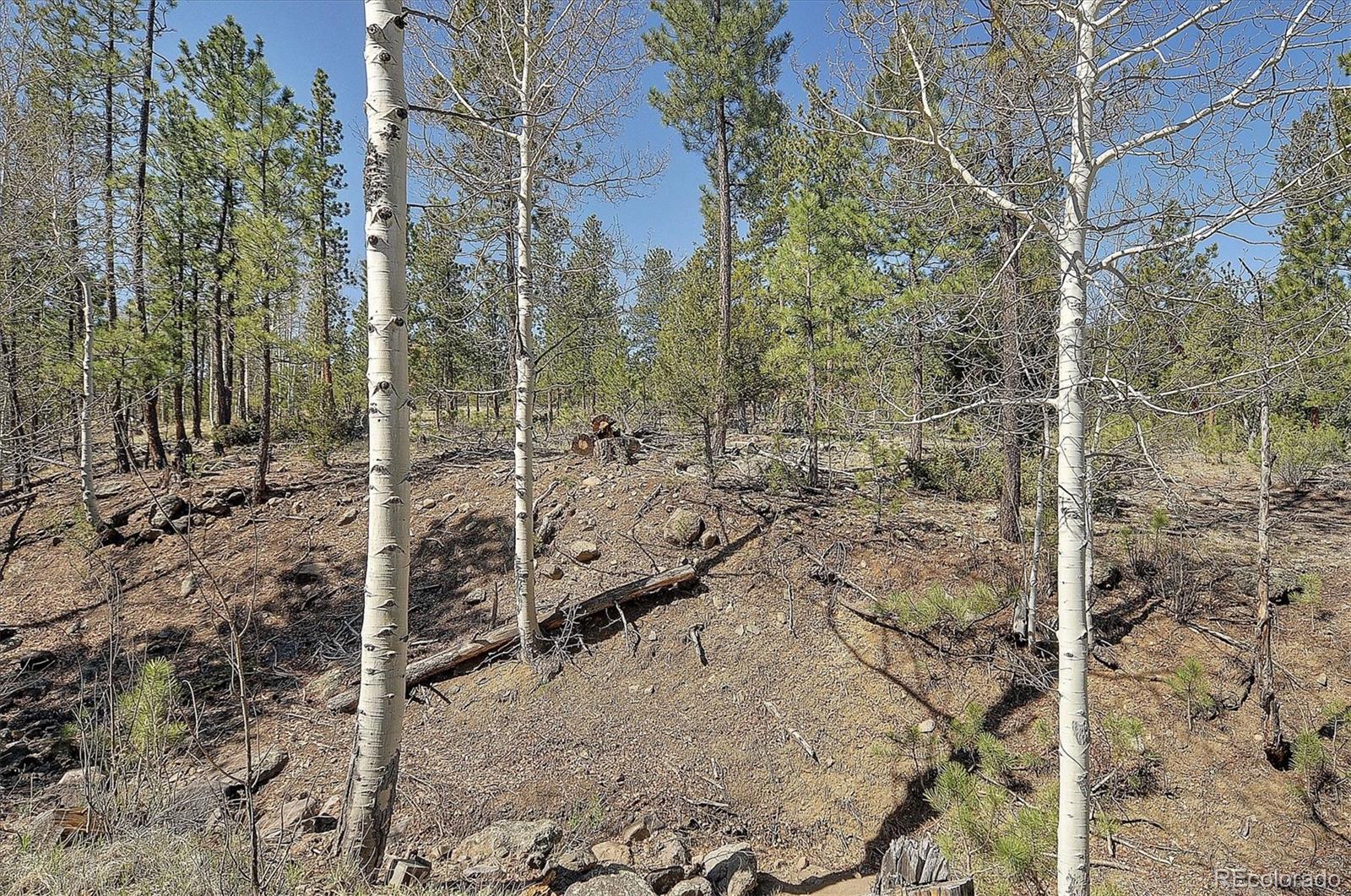MLS Image #38 for 30010  county road 46aa ,villa grove, Colorado