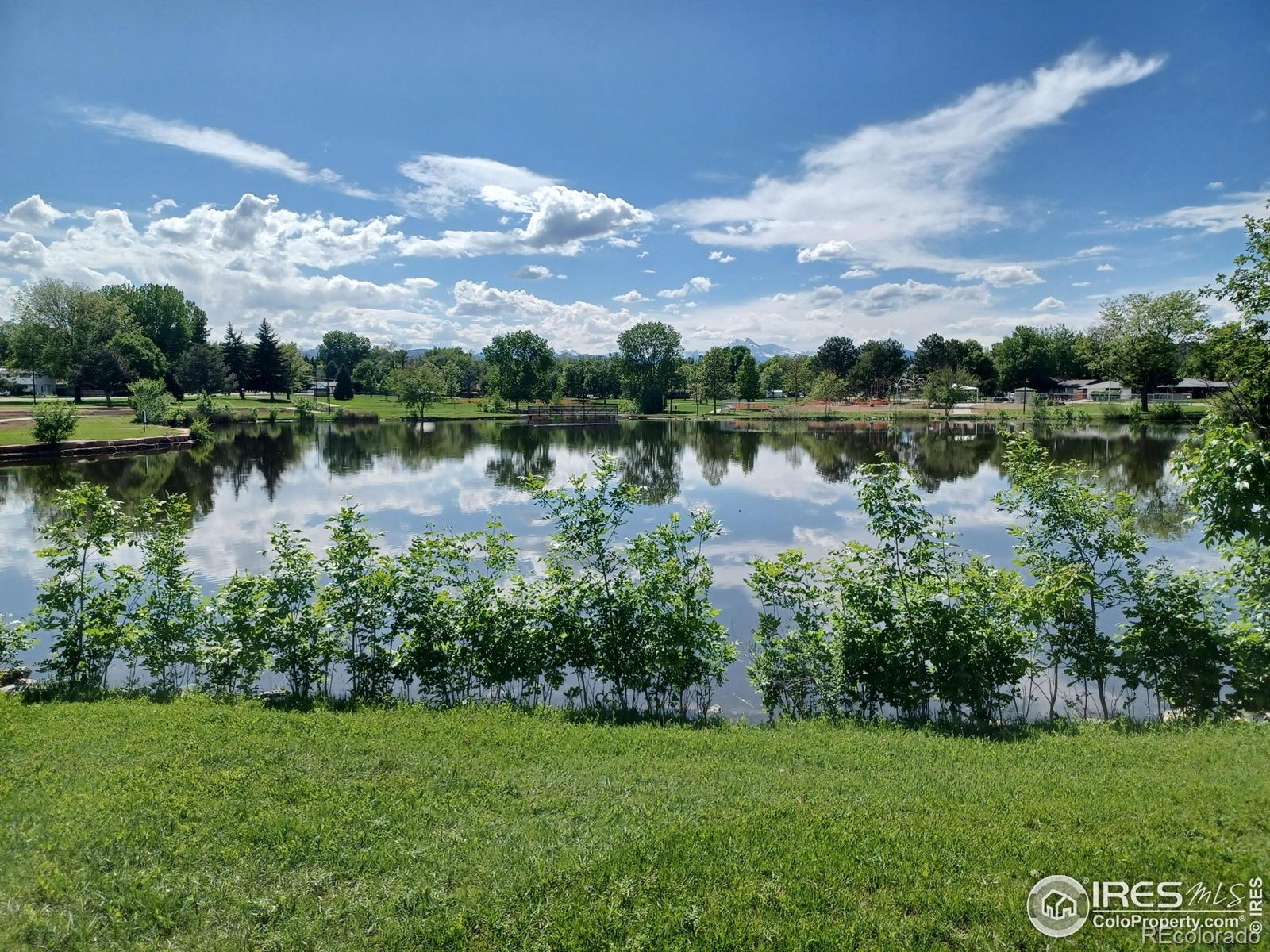 MLS Image #3 for 1100  sumner street,longmont, Colorado