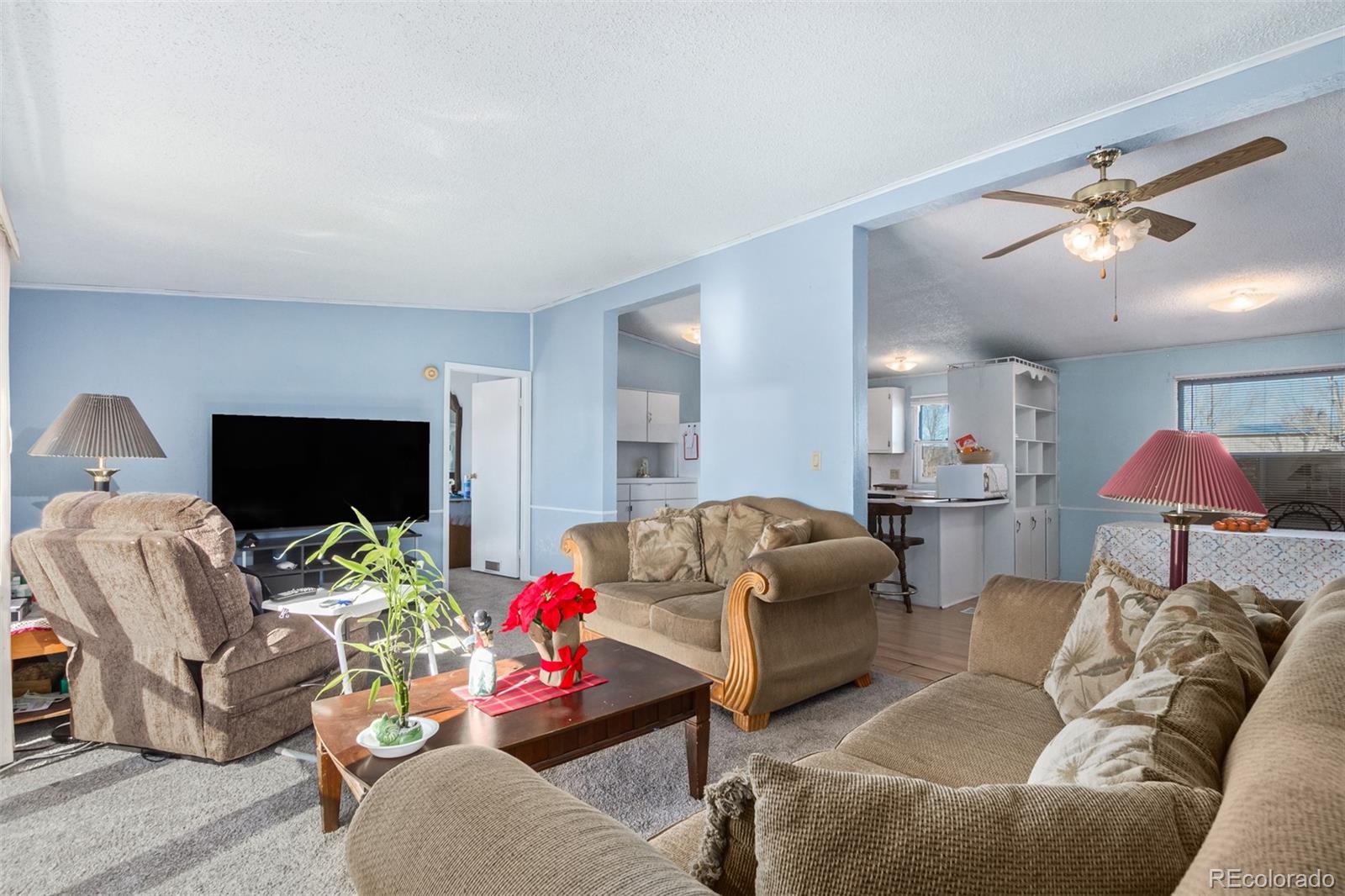 MLS Image #2 for 501  zante way,lochbuie, Colorado