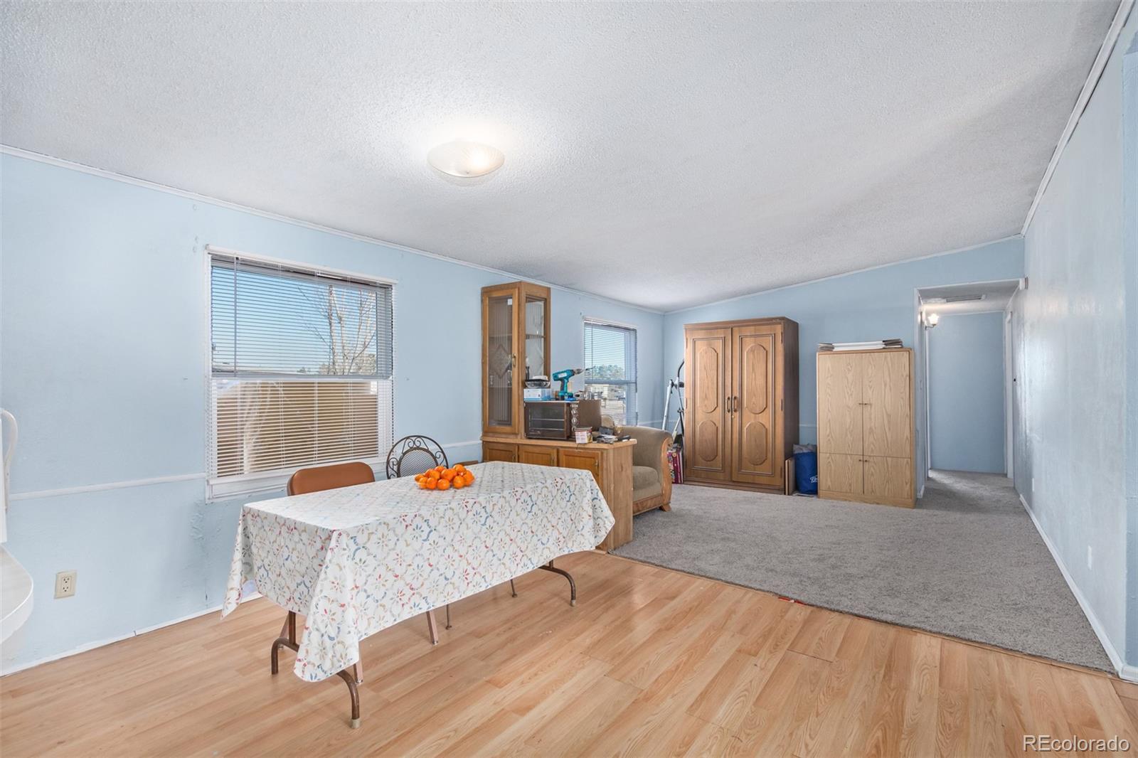MLS Image #4 for 501  zante way,lochbuie, Colorado