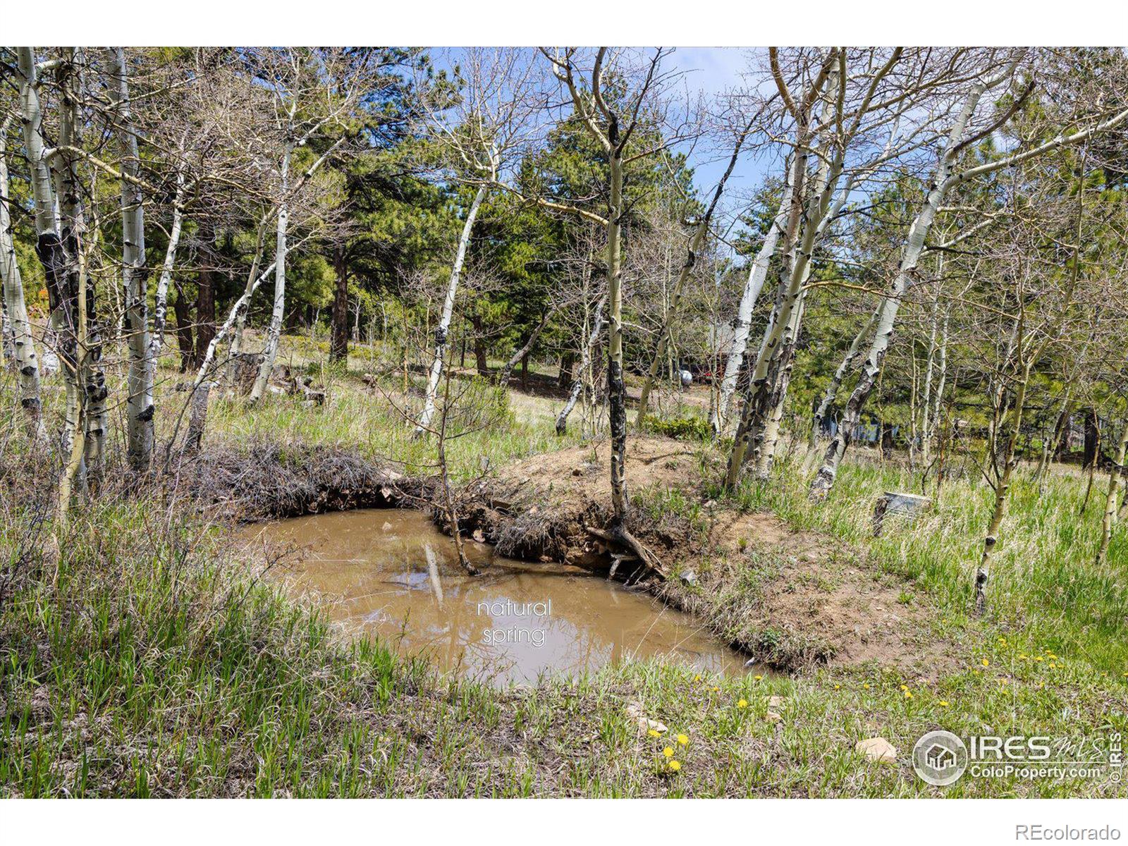 MLS Image #36 for 37  pine glade road,nederland, Colorado