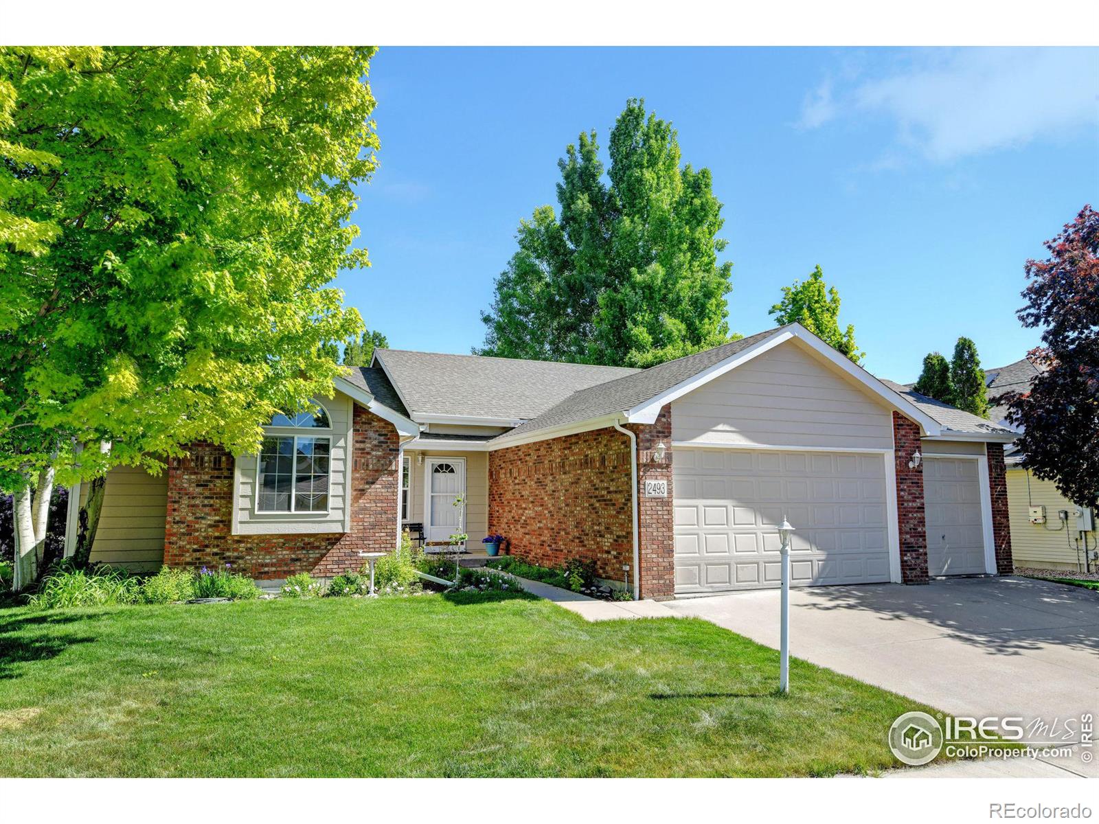 Report Image for 2493  Glendale Court,Loveland, Colorado