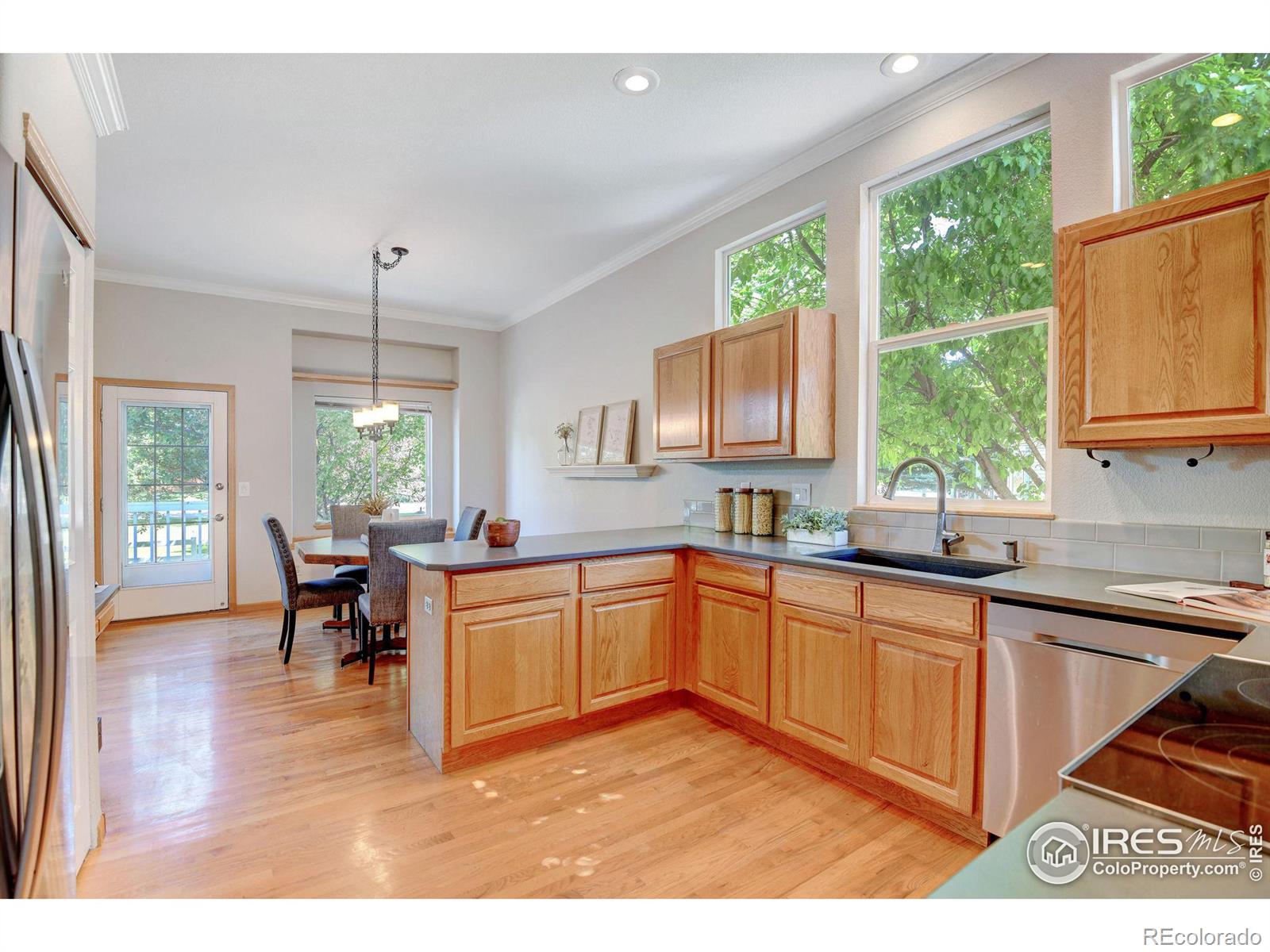 MLS Image #12 for 2493  glendale court,loveland, Colorado