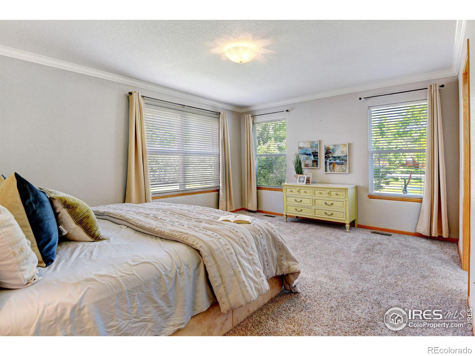 MLS Image #14 for 2493  glendale court,loveland, Colorado