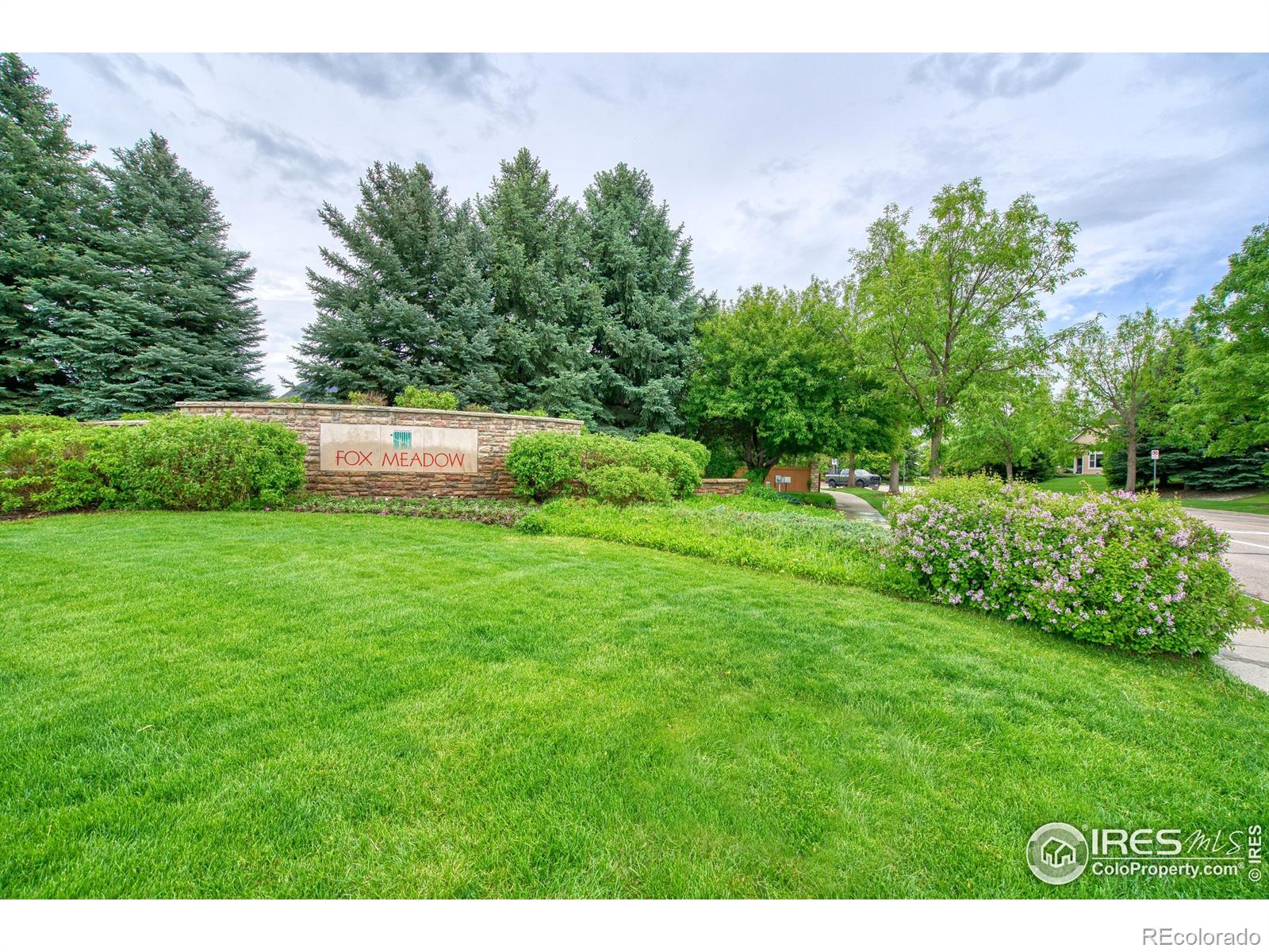 MLS Image #37 for 1524  bluefield avenue,longmont, Colorado