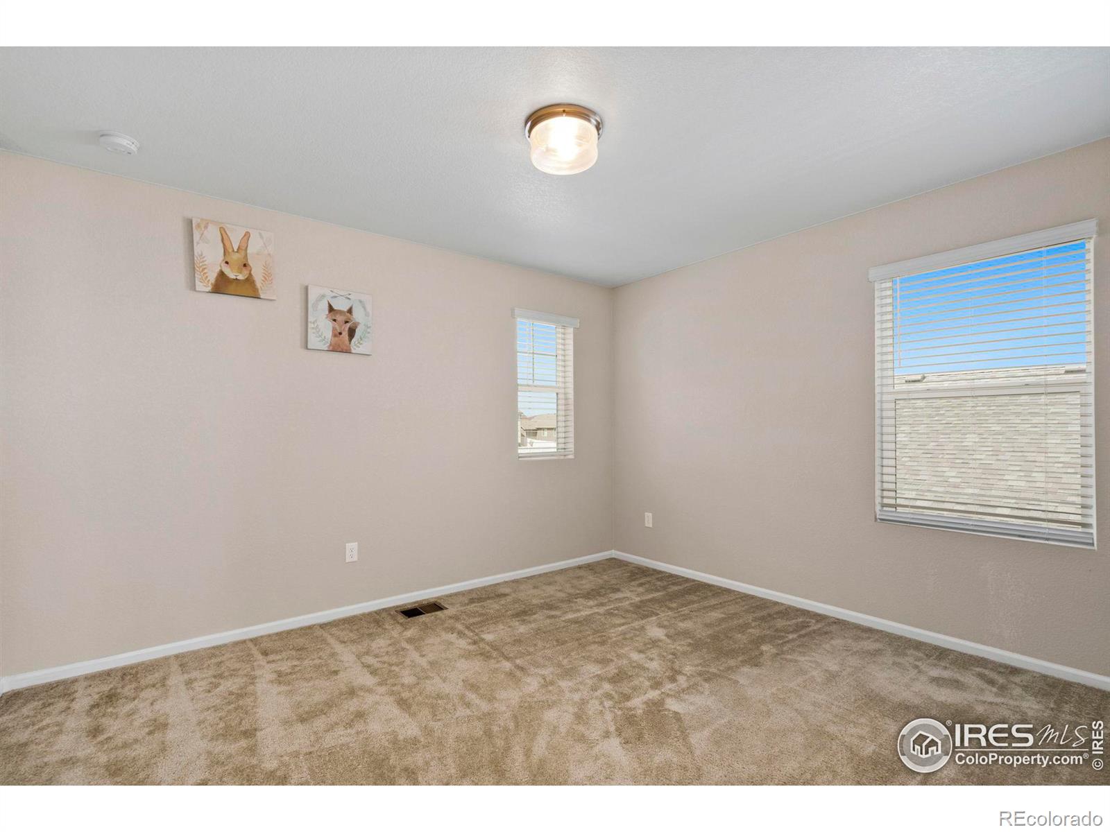 MLS Image #11 for 1855  ruddlesway drive,windsor, Colorado