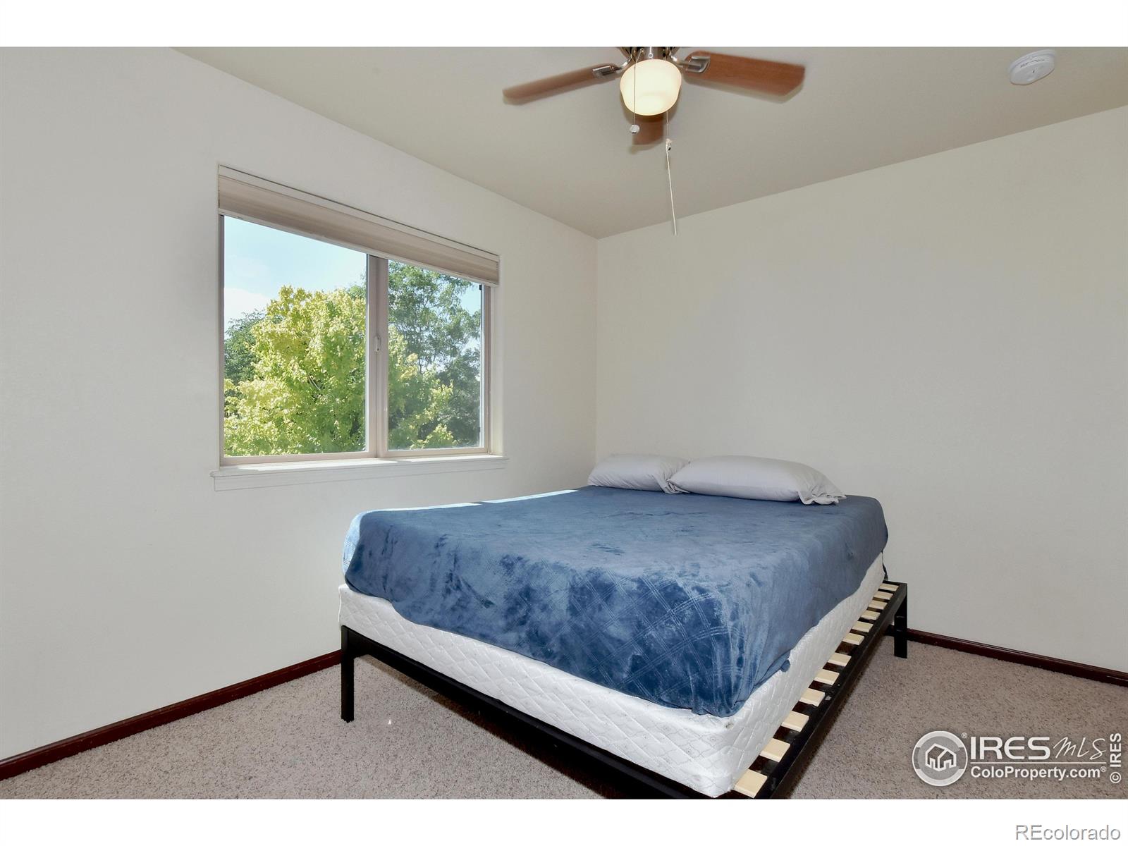 MLS Image #24 for 4535  stump avenue,loveland, Colorado