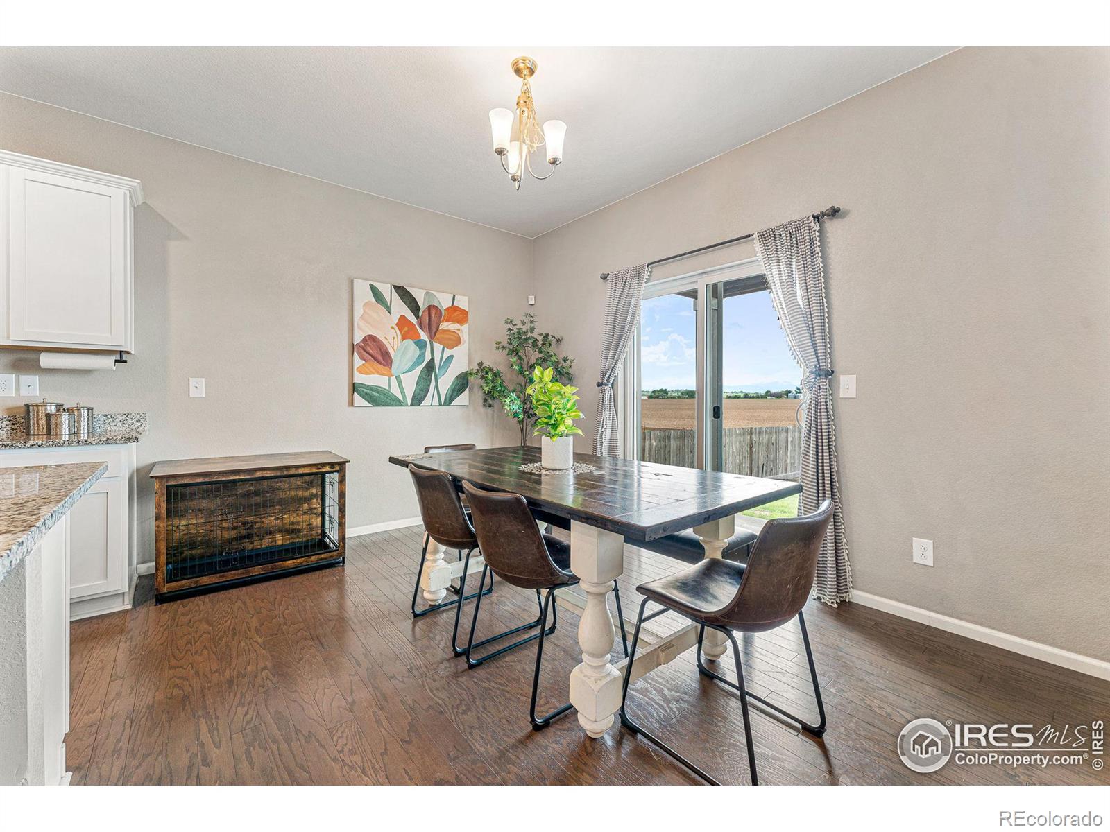 MLS Image #13 for 910  camberly drive,windsor, Colorado