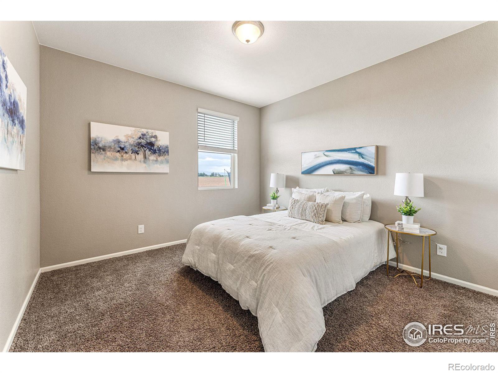 MLS Image #14 for 910  camberly drive,windsor, Colorado