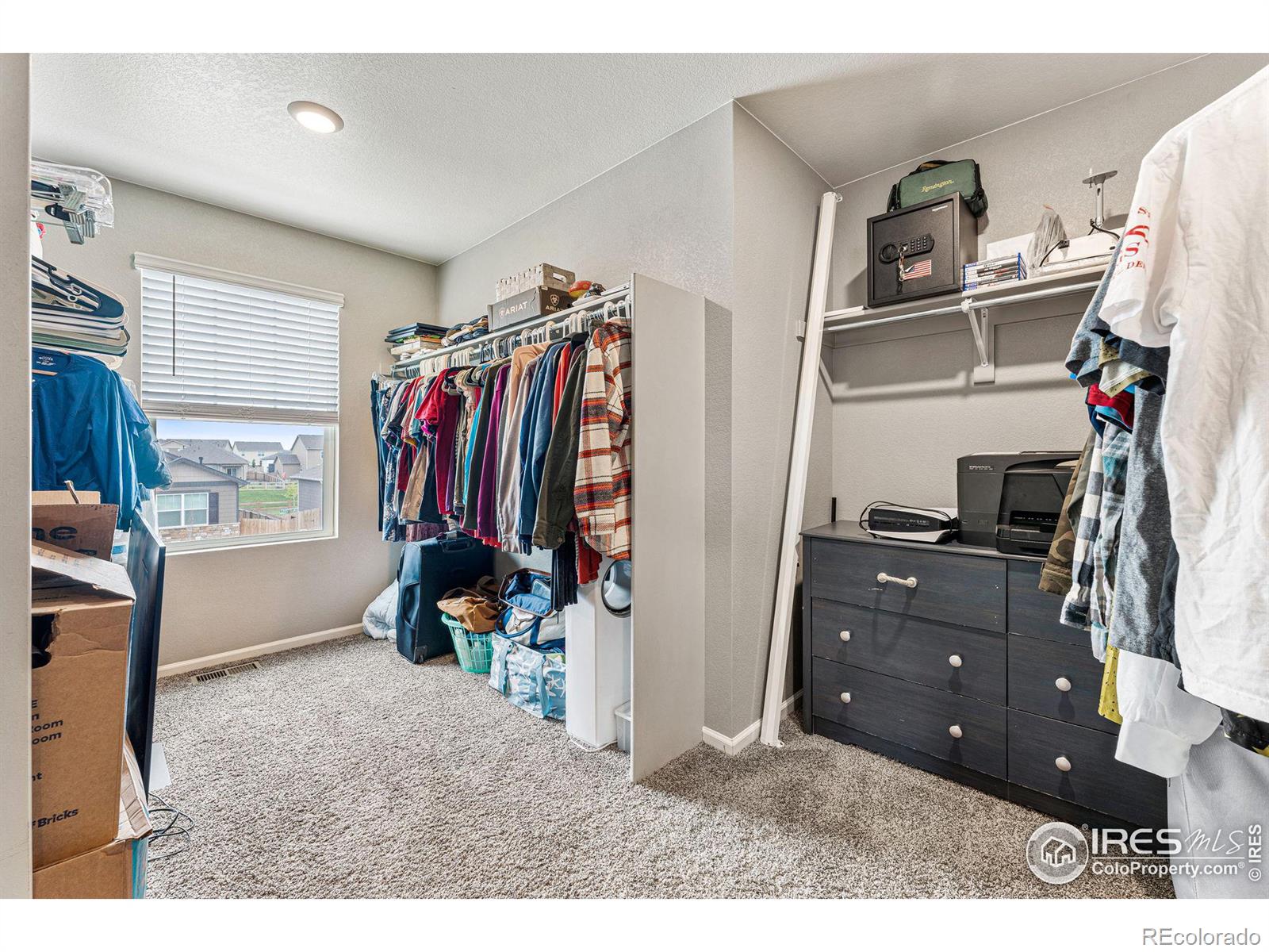 MLS Image #21 for 910  camberly drive,windsor, Colorado