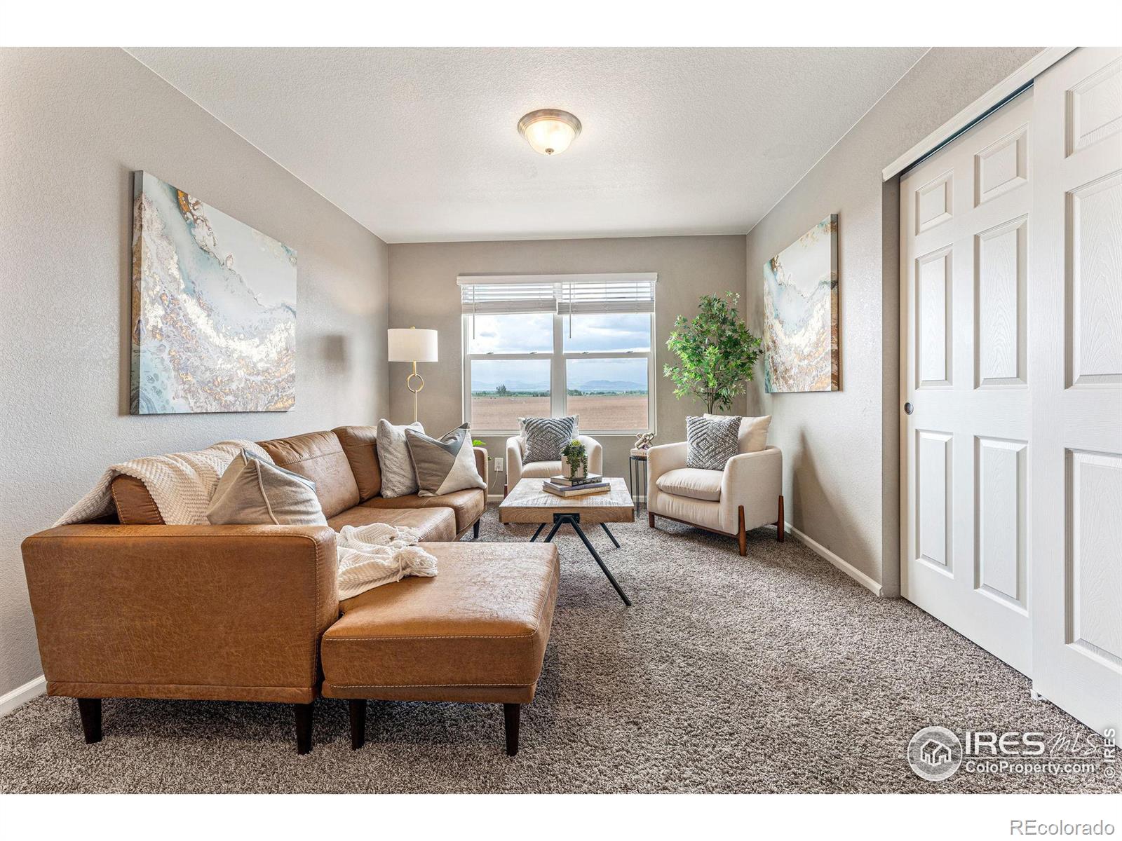 MLS Image #25 for 910  camberly drive,windsor, Colorado