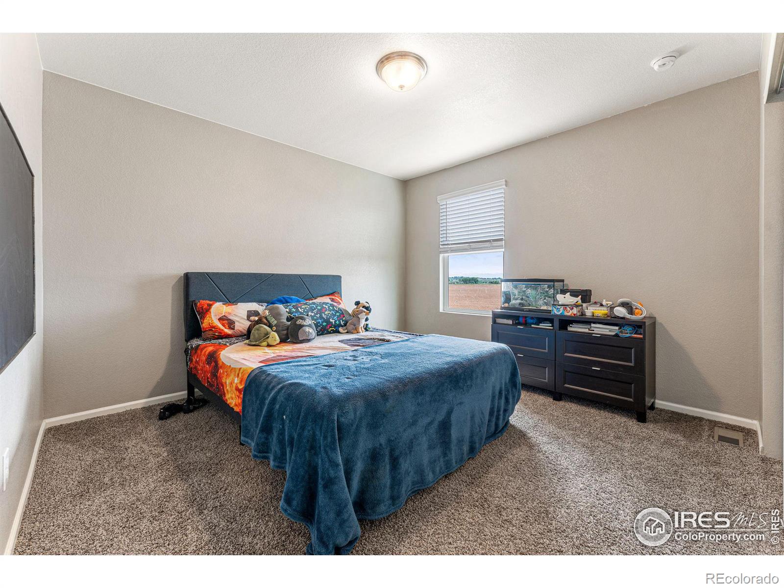 MLS Image #26 for 910  camberly drive,windsor, Colorado