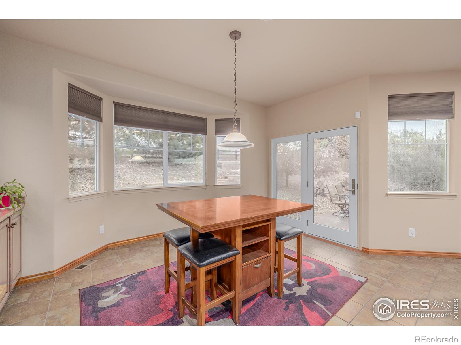 MLS Image #10 for 1399  serene drive,erie, Colorado