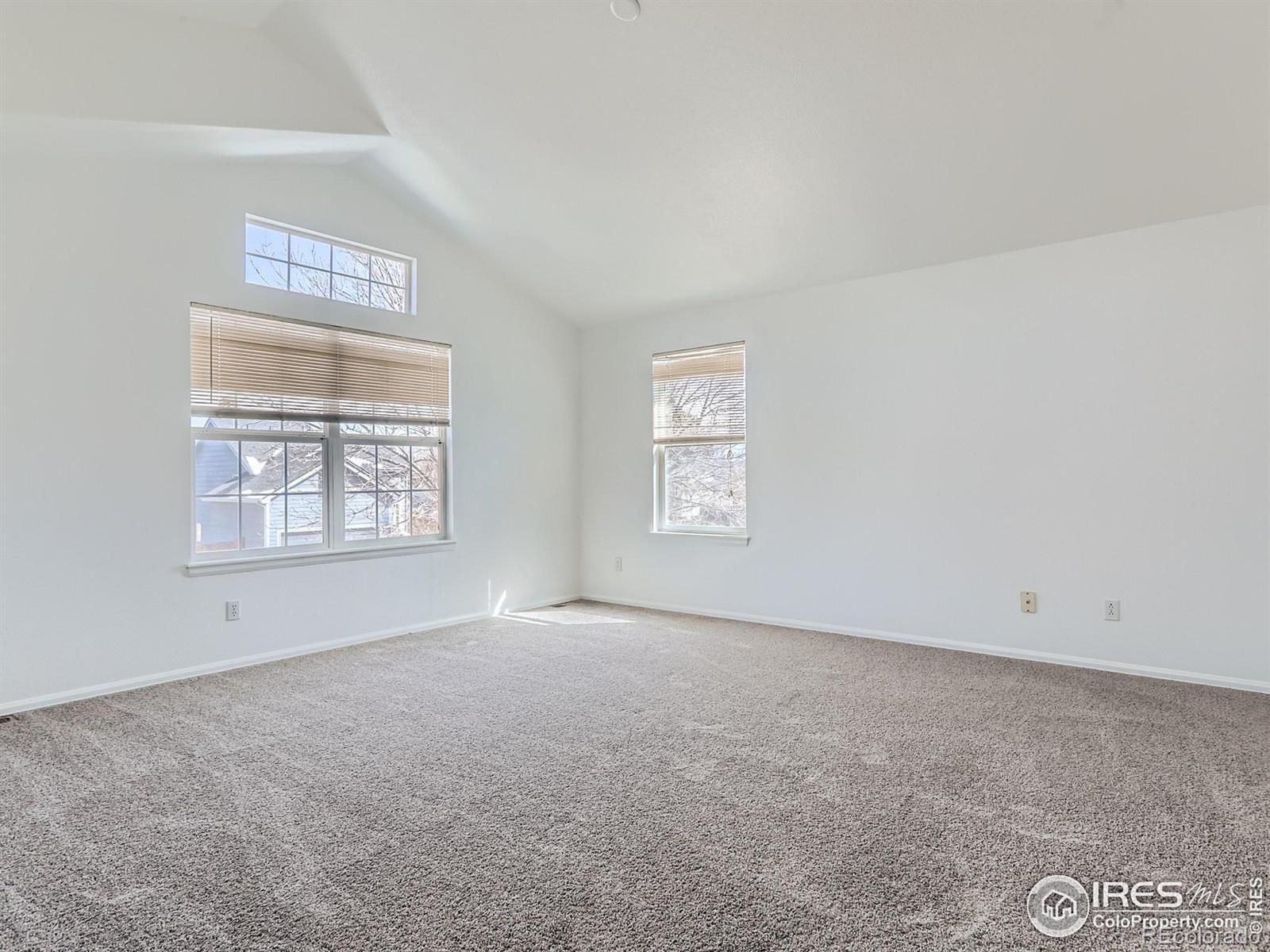 MLS Image #16 for 4116  thorndyke place,broomfield, Colorado